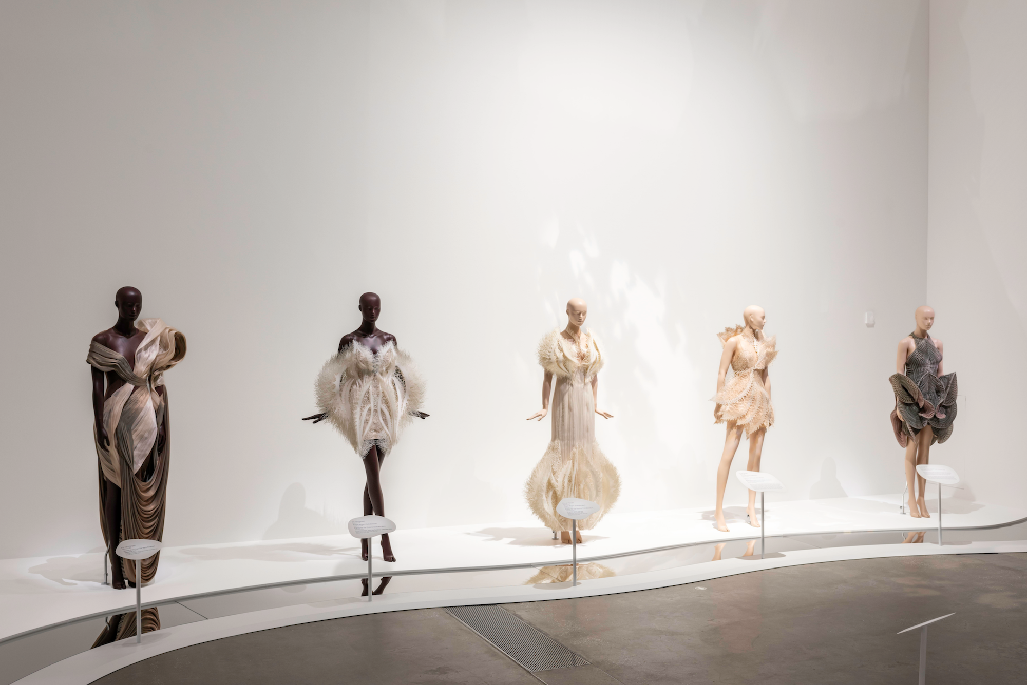 Iris van Herpen's Earthrise collection exhibited at GOMA.