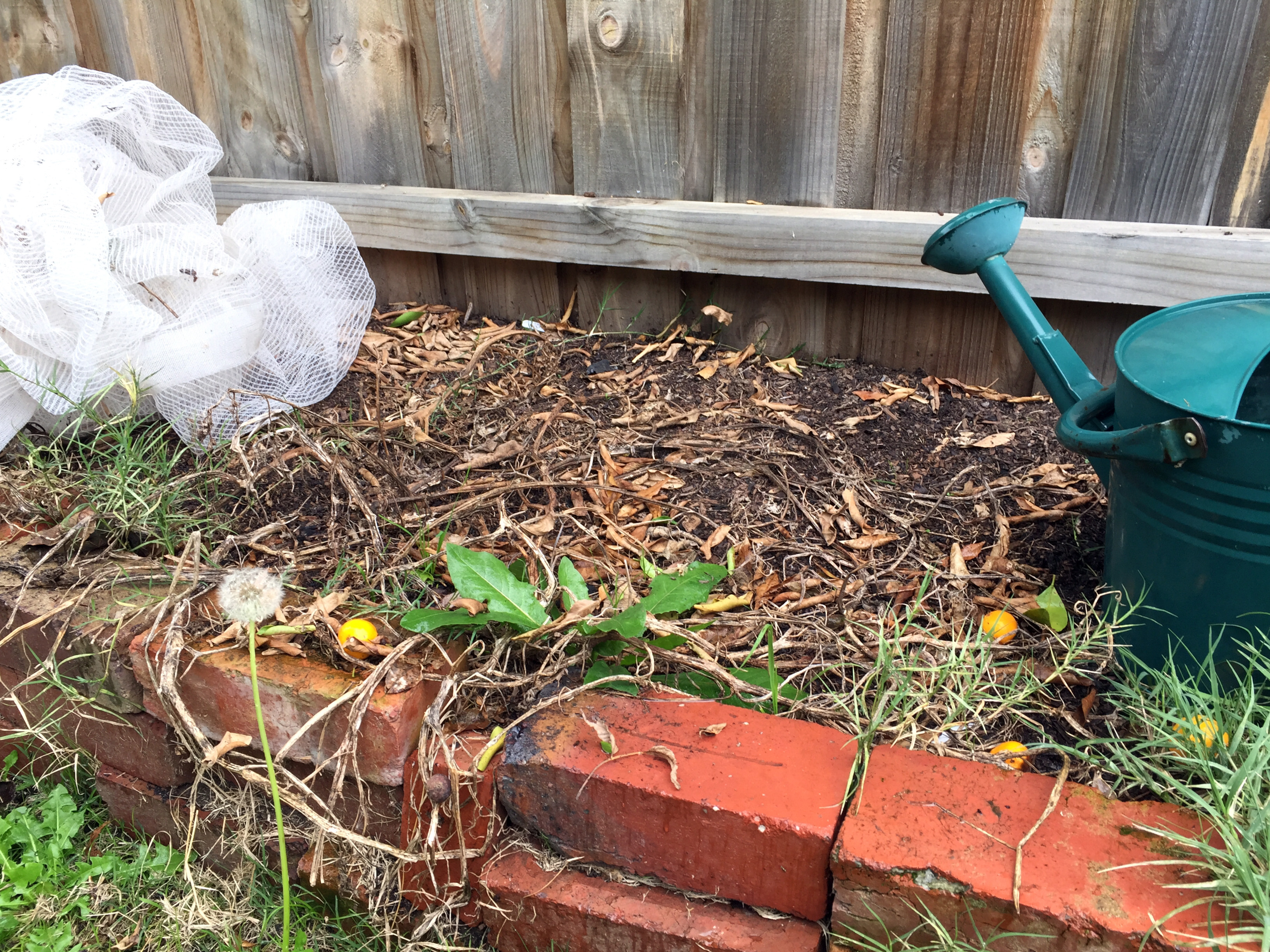 Reviving a garden for winter
