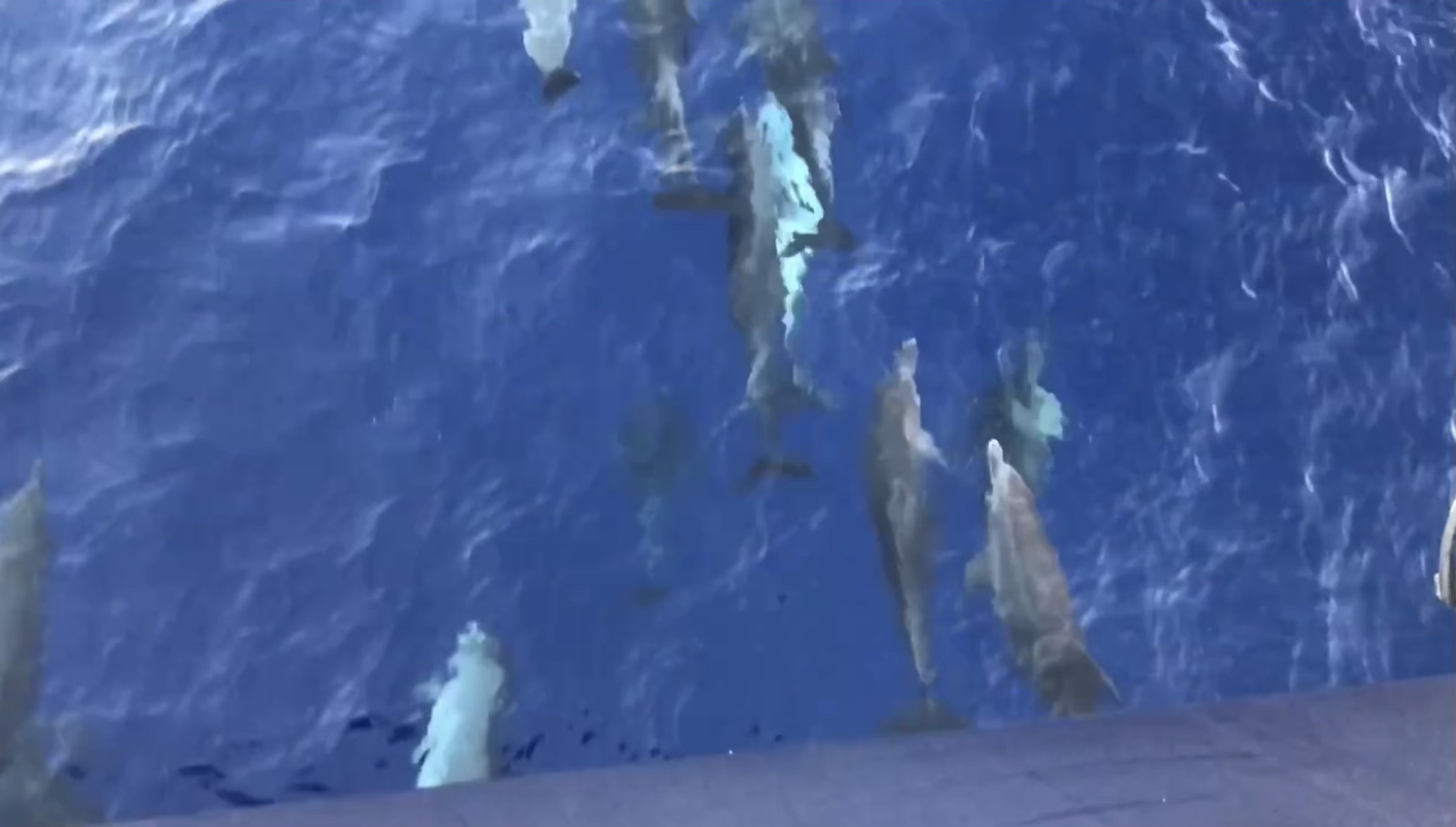 A seismic blasting whistleblower speaks