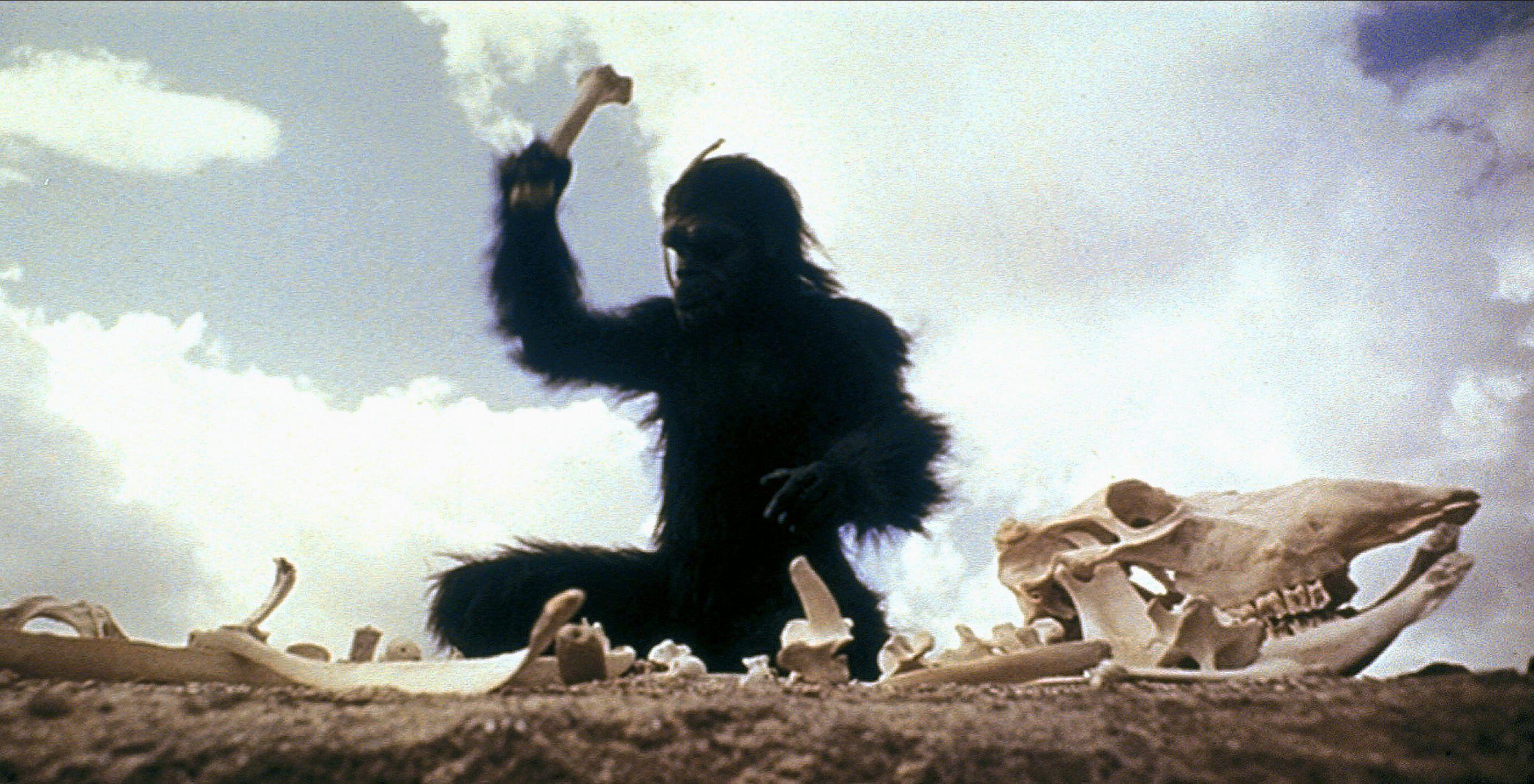 An ape with a bone raised in its hand.