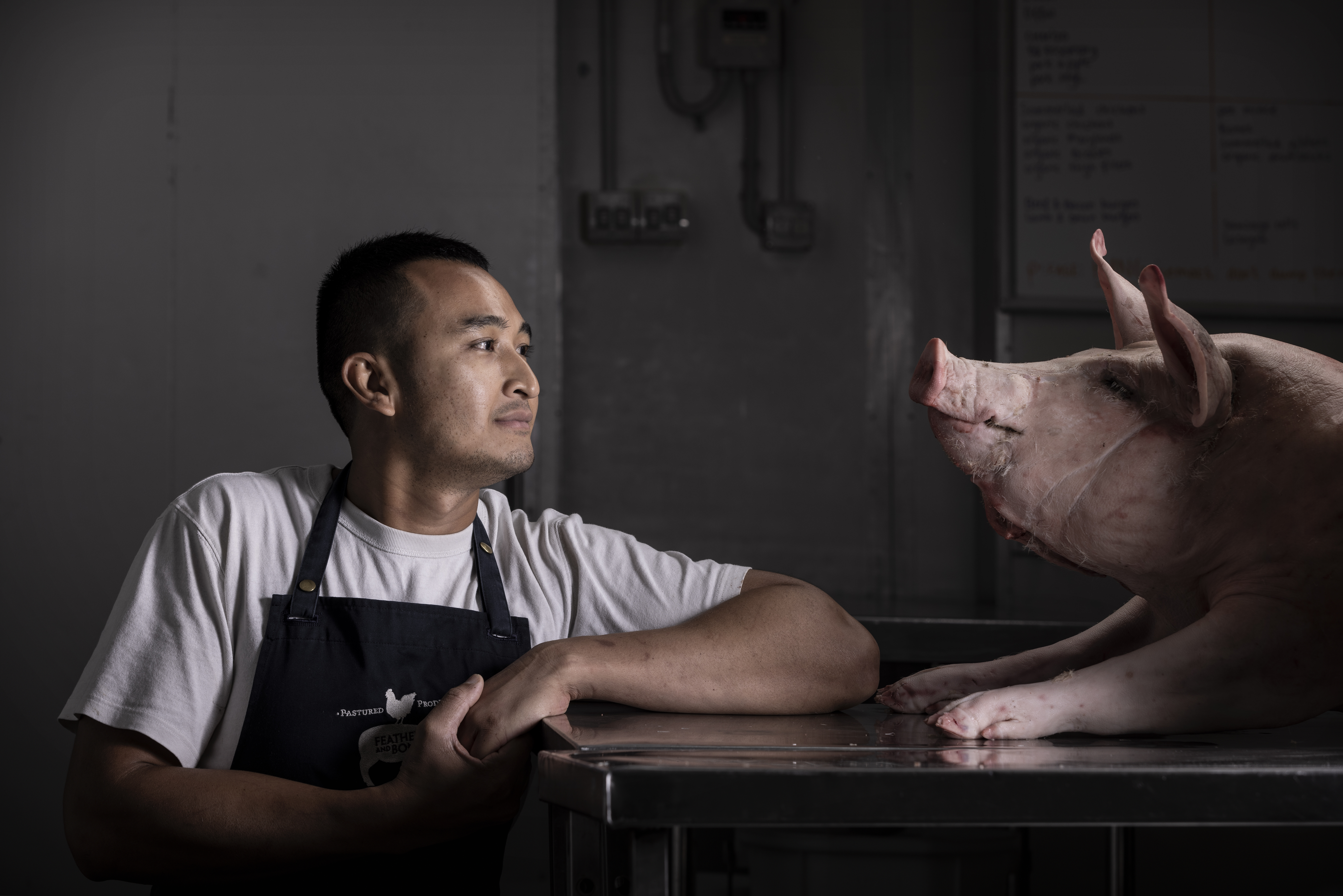 Classes for conscious carnivores