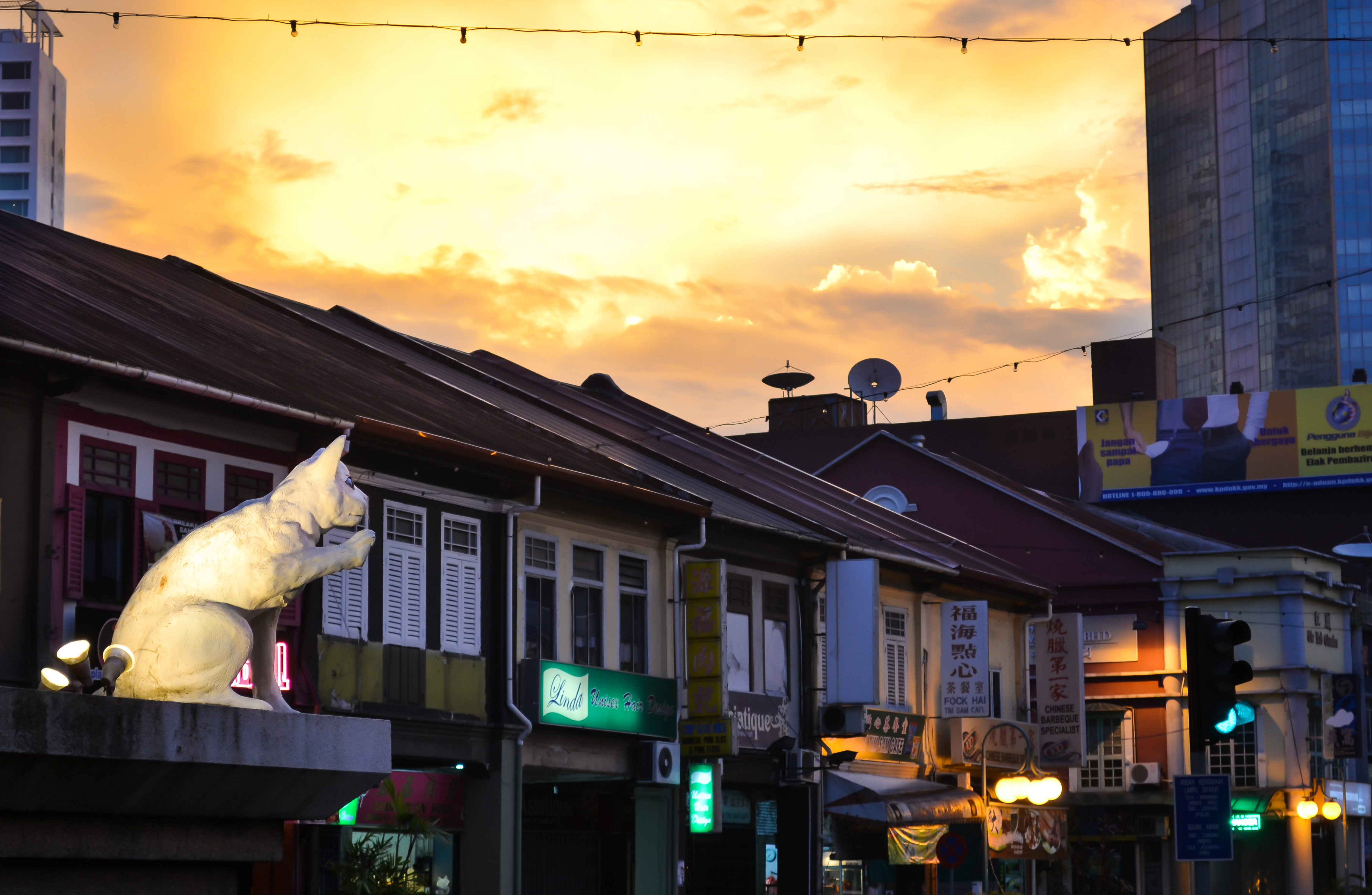 The cats of Kuching, Malaysia