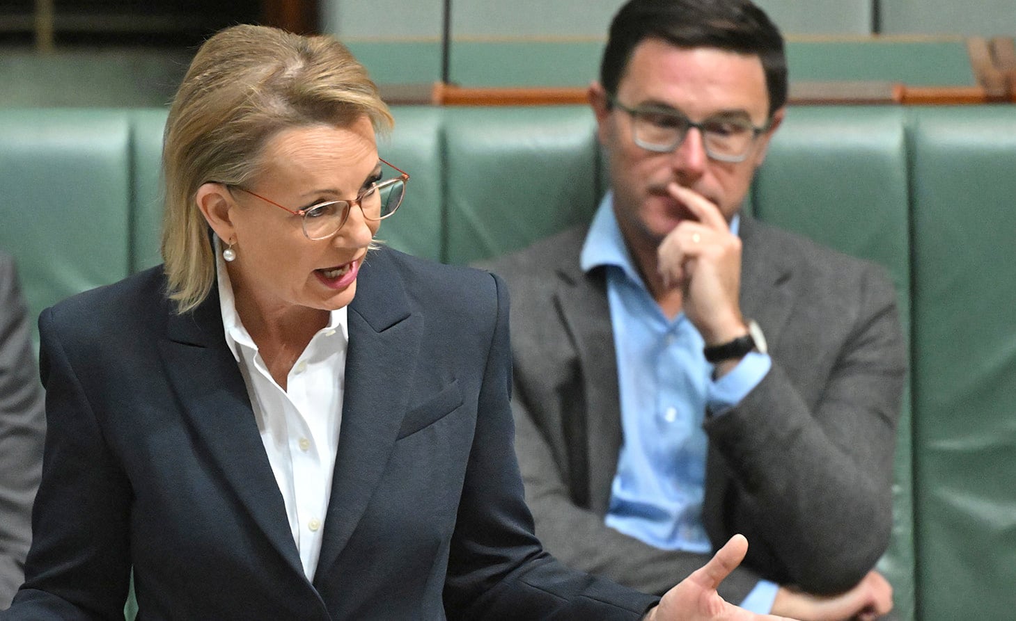 Sussan Let and David Littleproud.