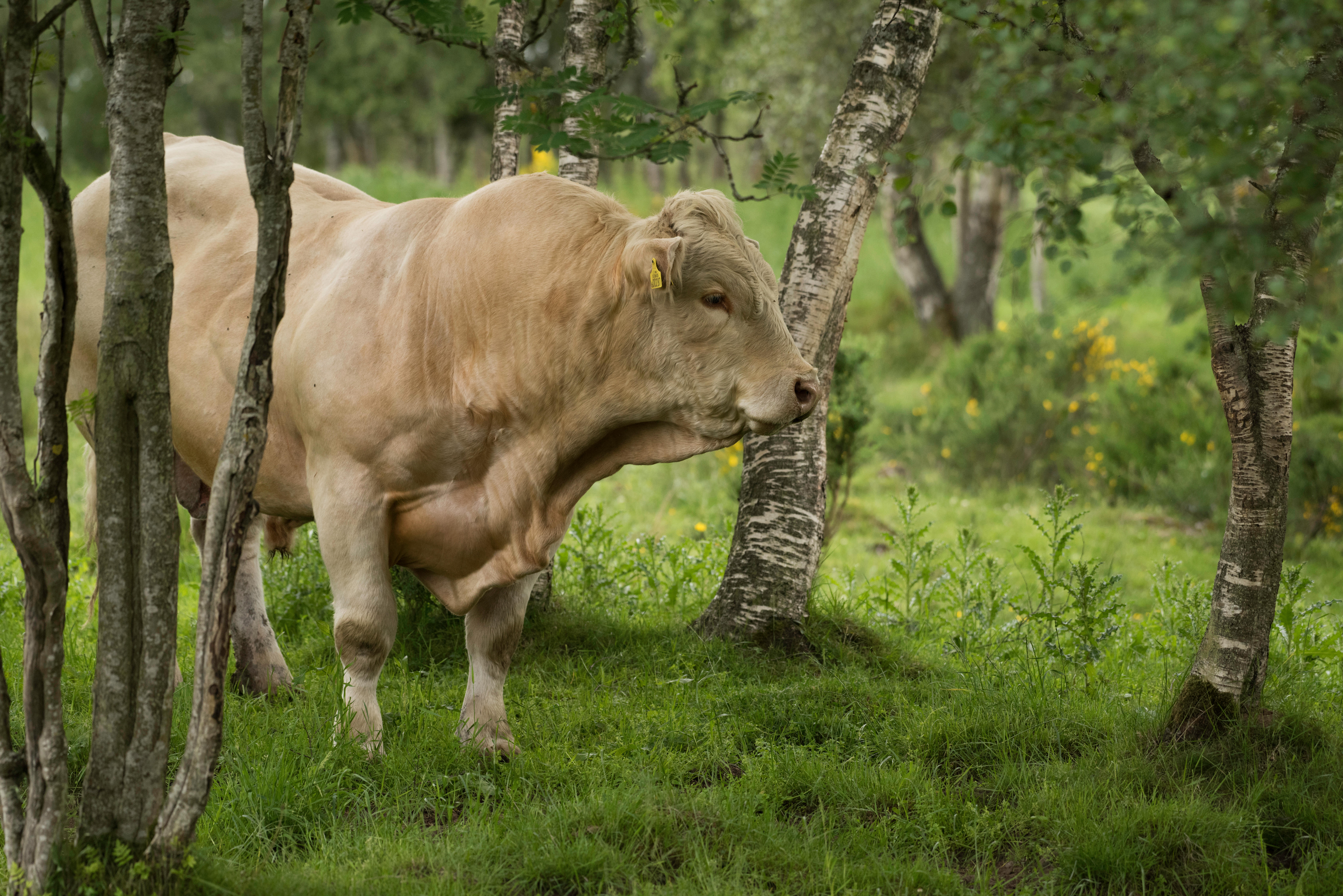 What does it really take to eat for the good of the planet?