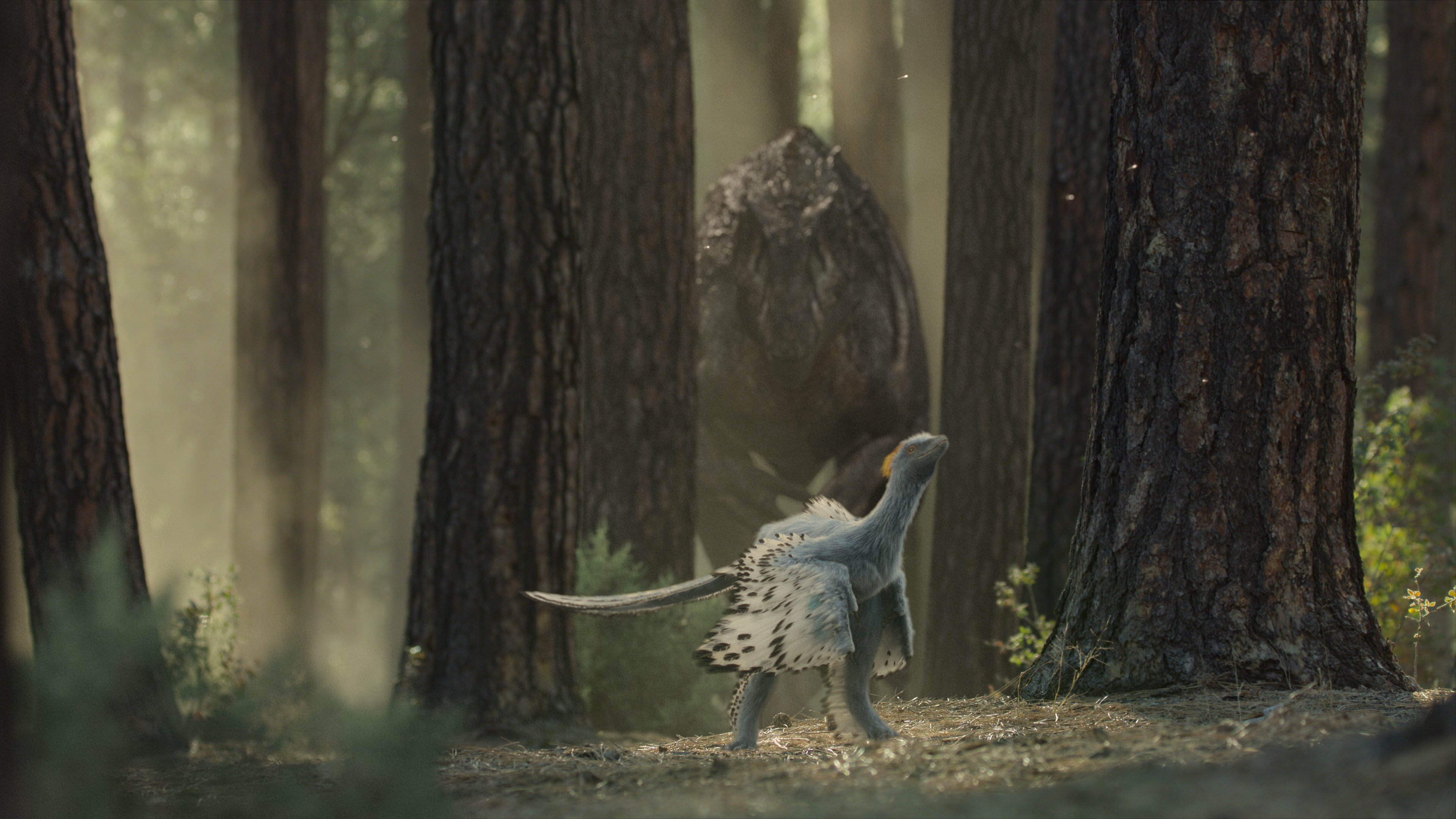 A dinosaur animation.