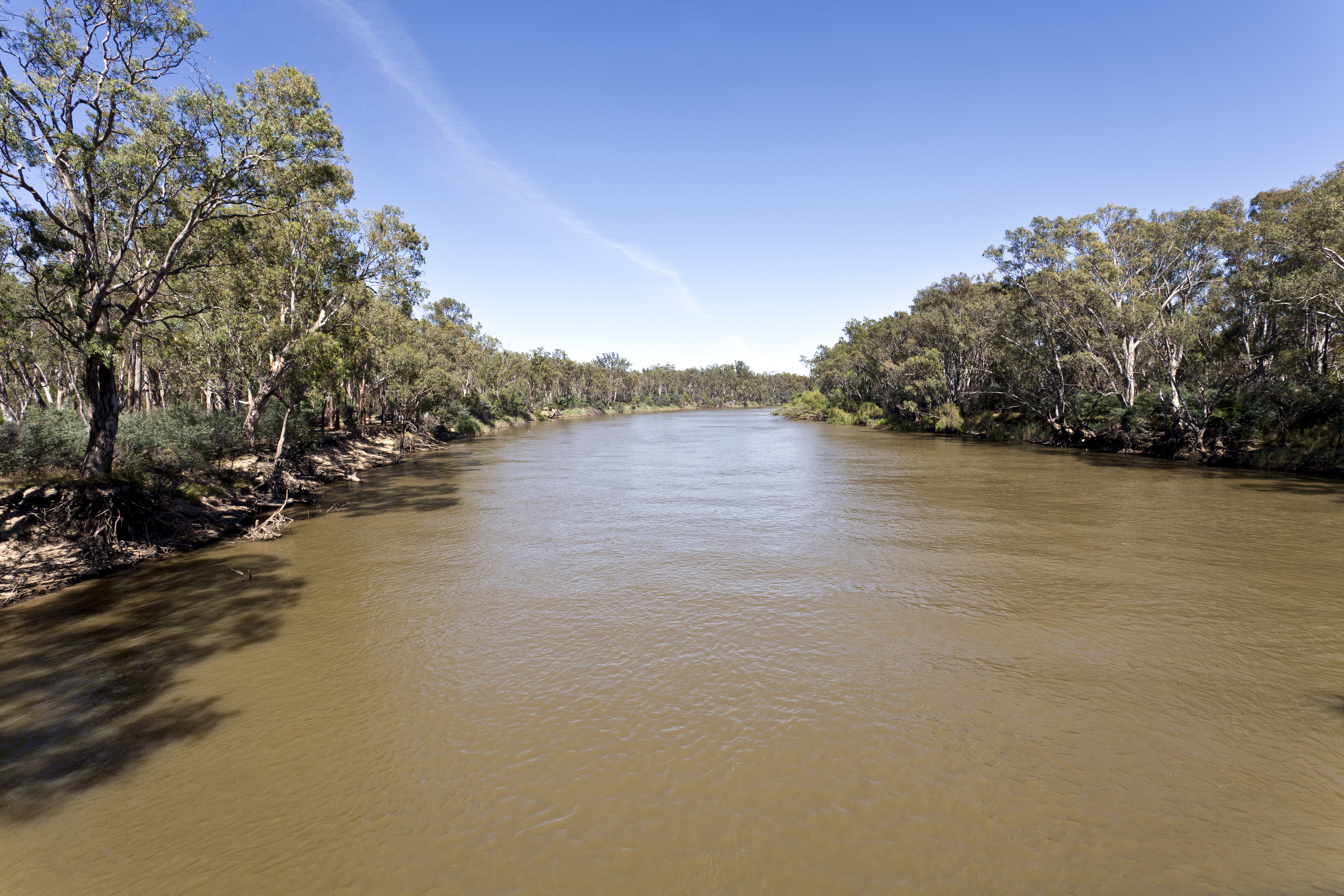The Murray-Darling up the creek