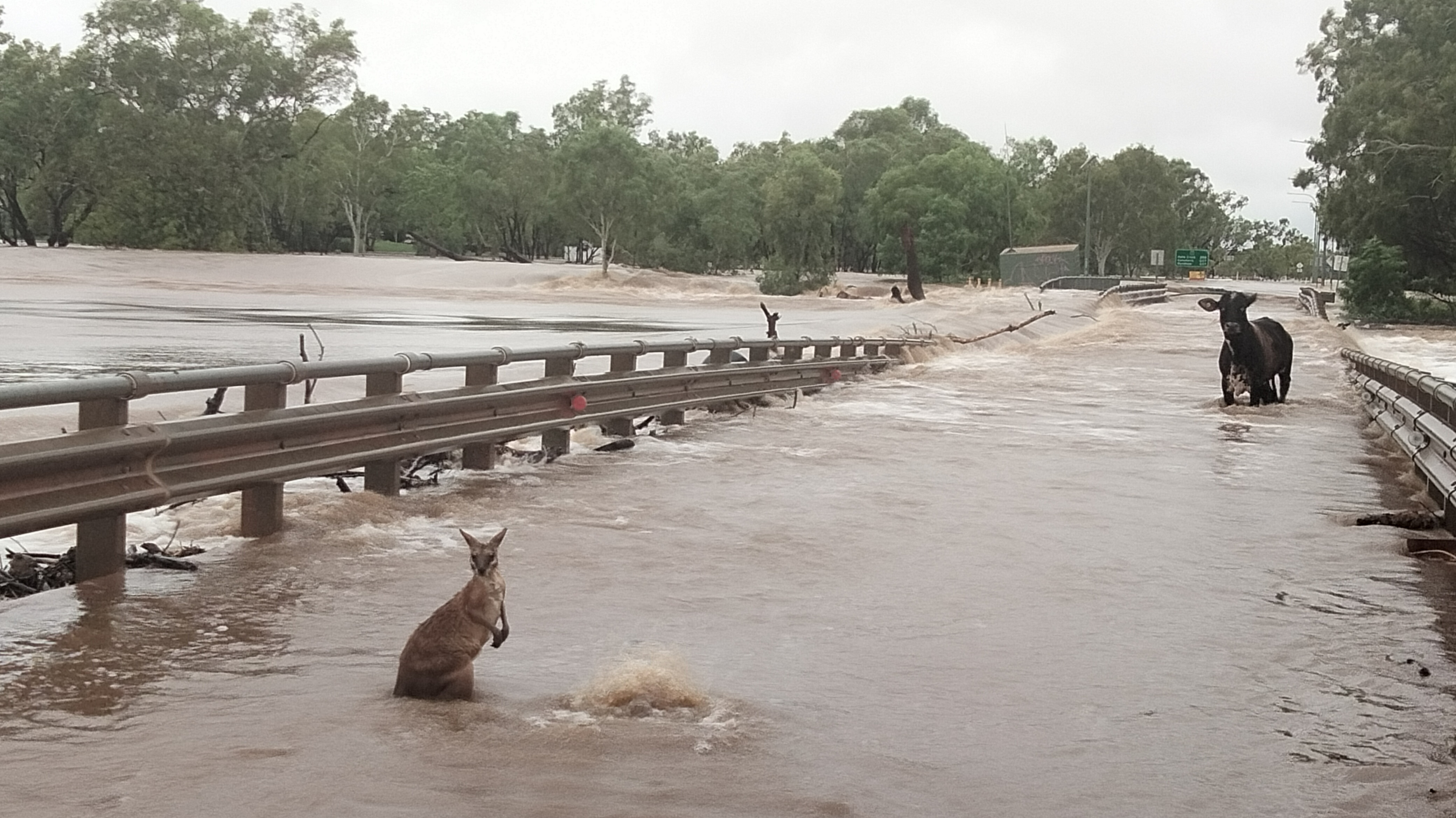 How politics is hindering the Kimberley flood emergency