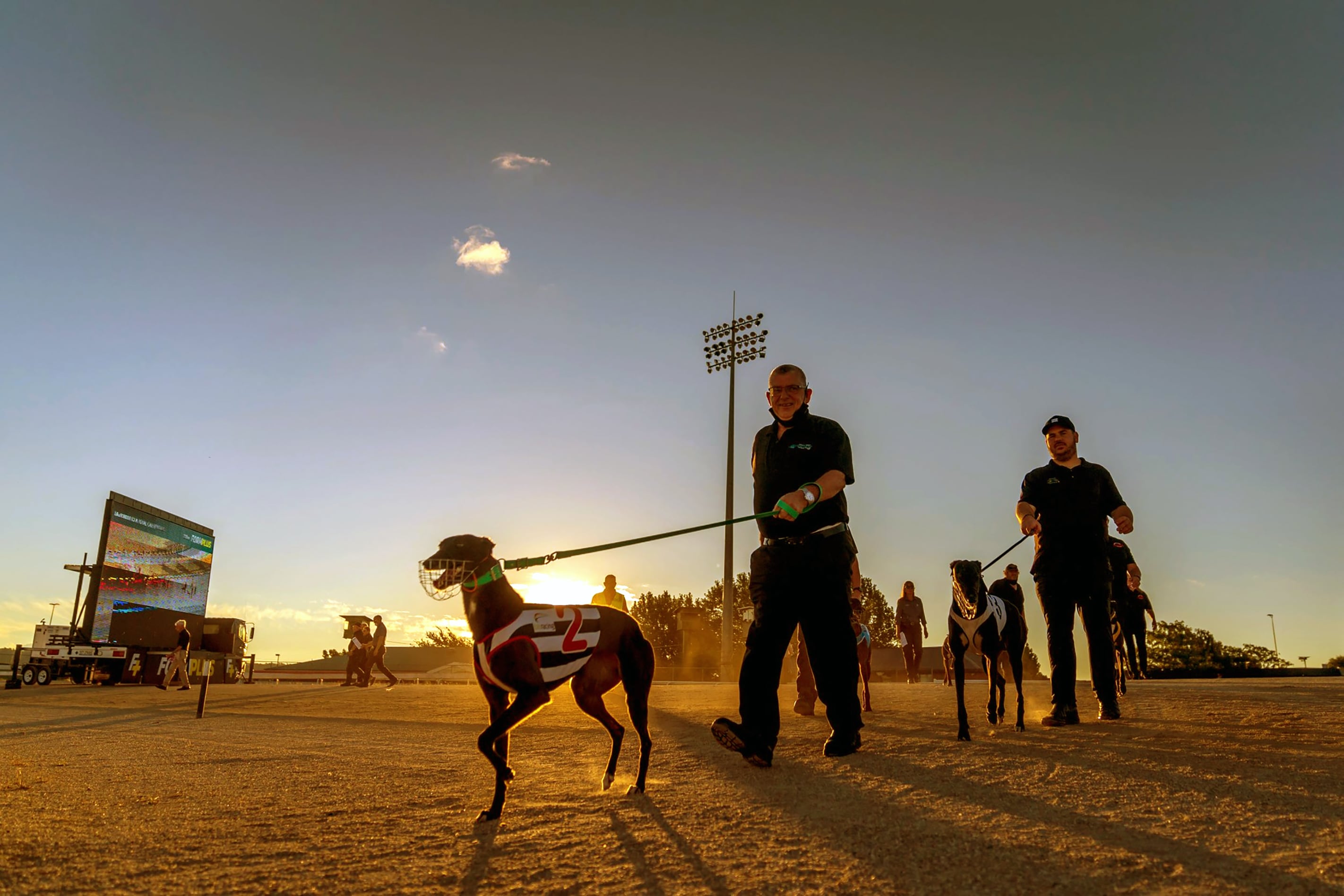 Tasmania’s greyhound racing pledge sparks national debate