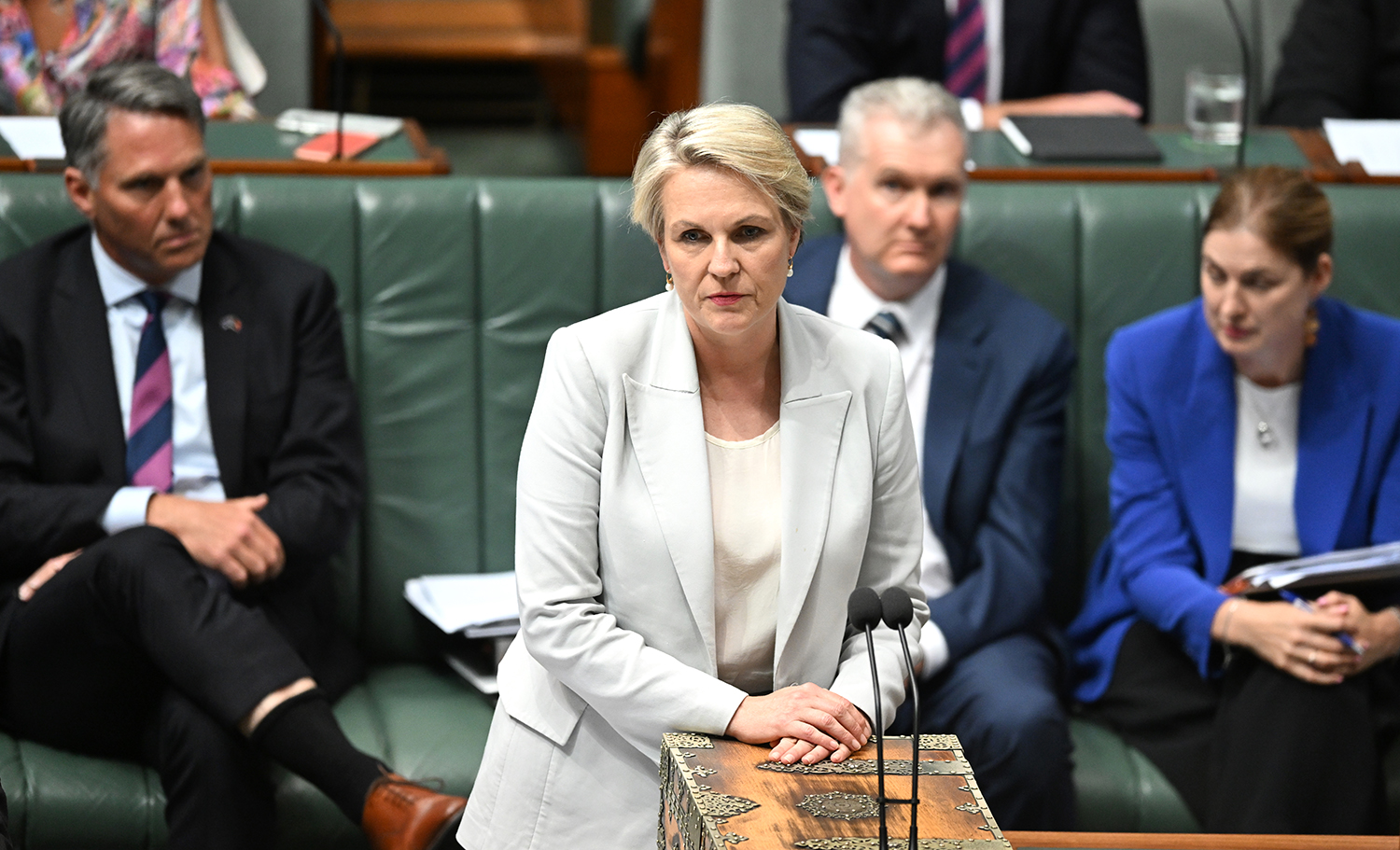Yanya Plibersek in parliament .