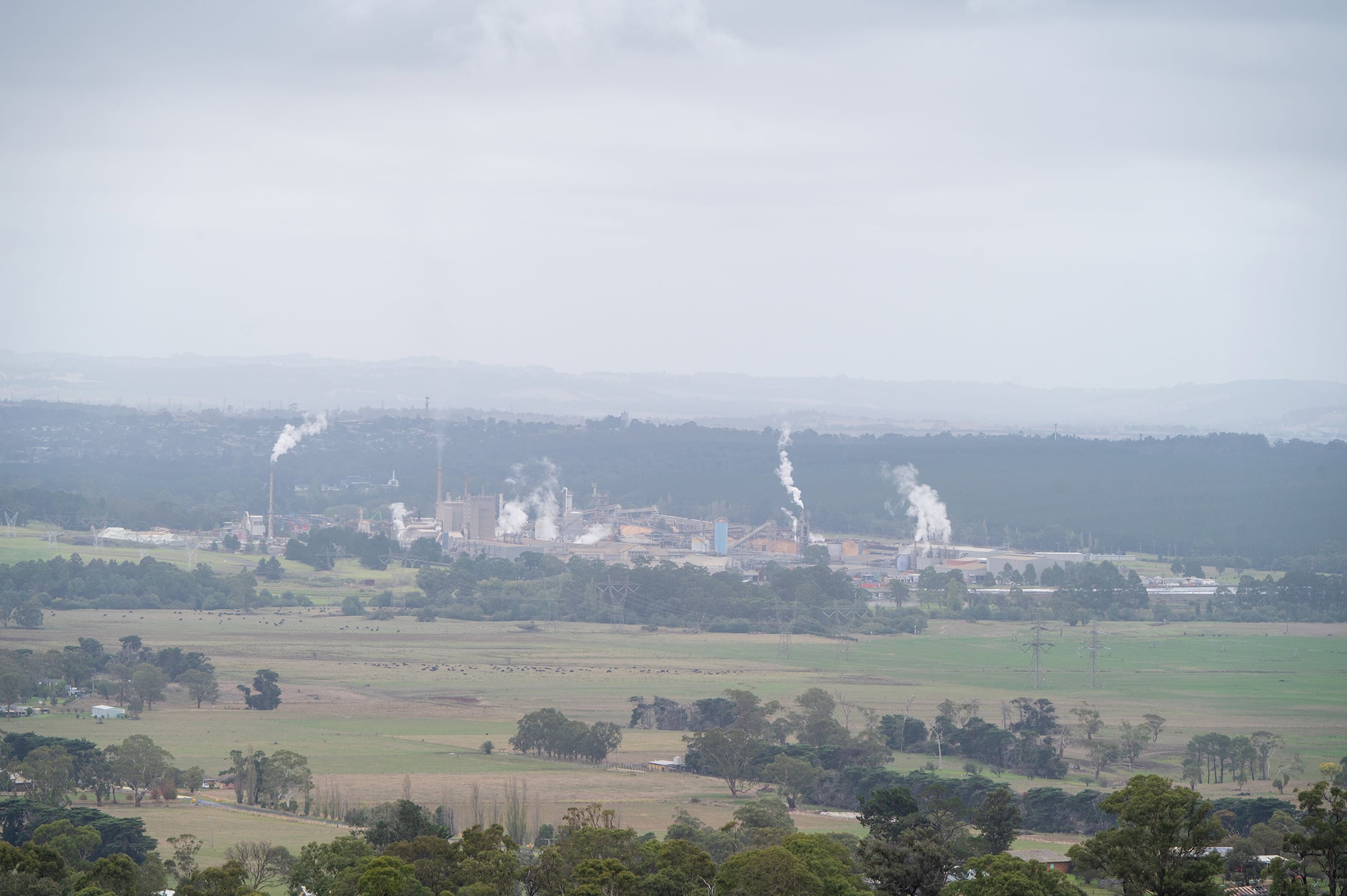 Maryvale paper mill in the Latrobe Valley, Victoria.