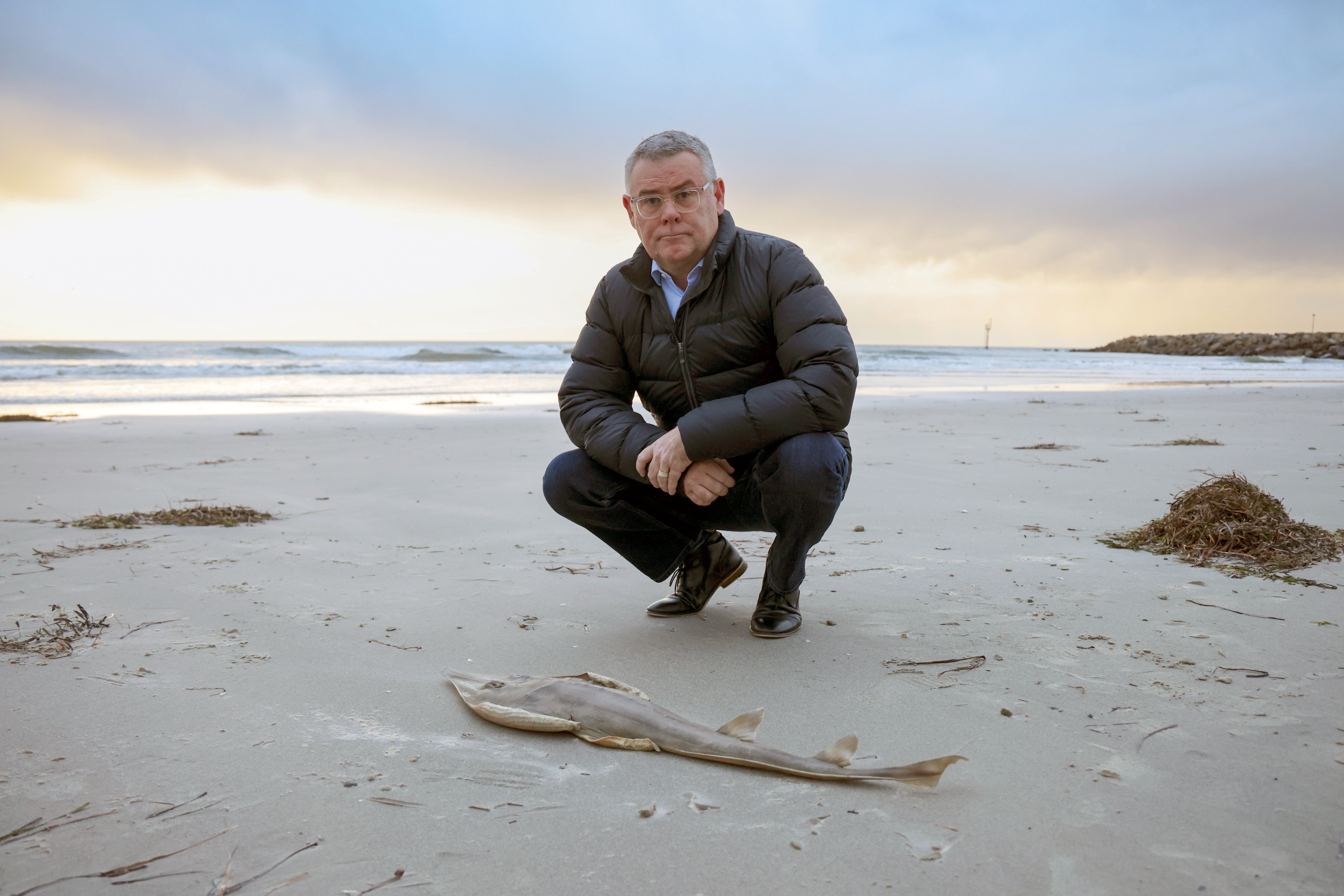 Murray Watt beside a shovel nose shark washed on the beach.