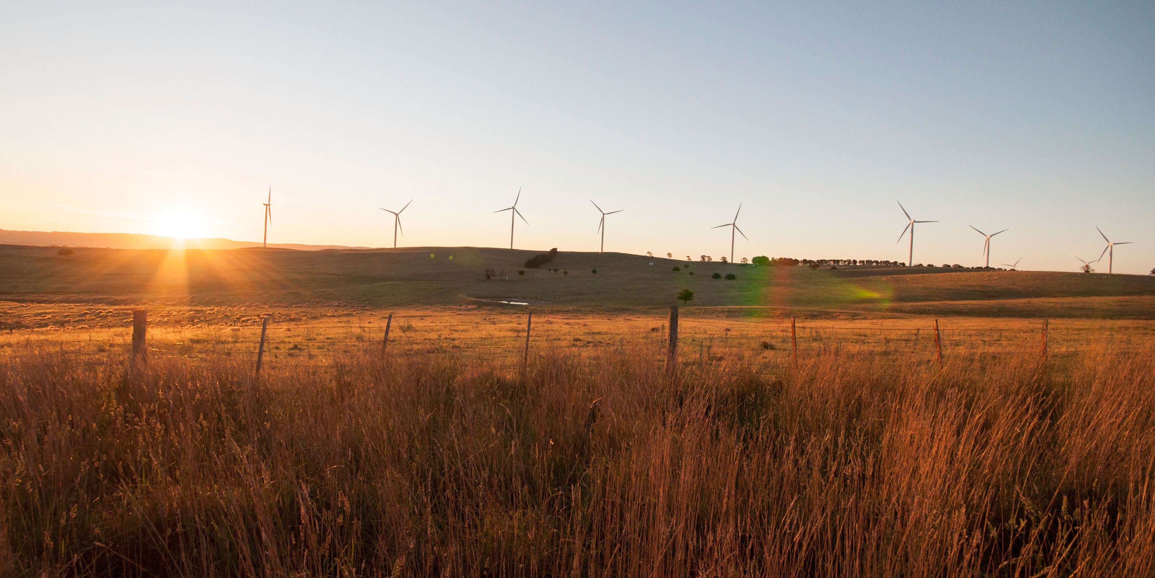 Tracking the Coalition's attacks on green energy infrastructure