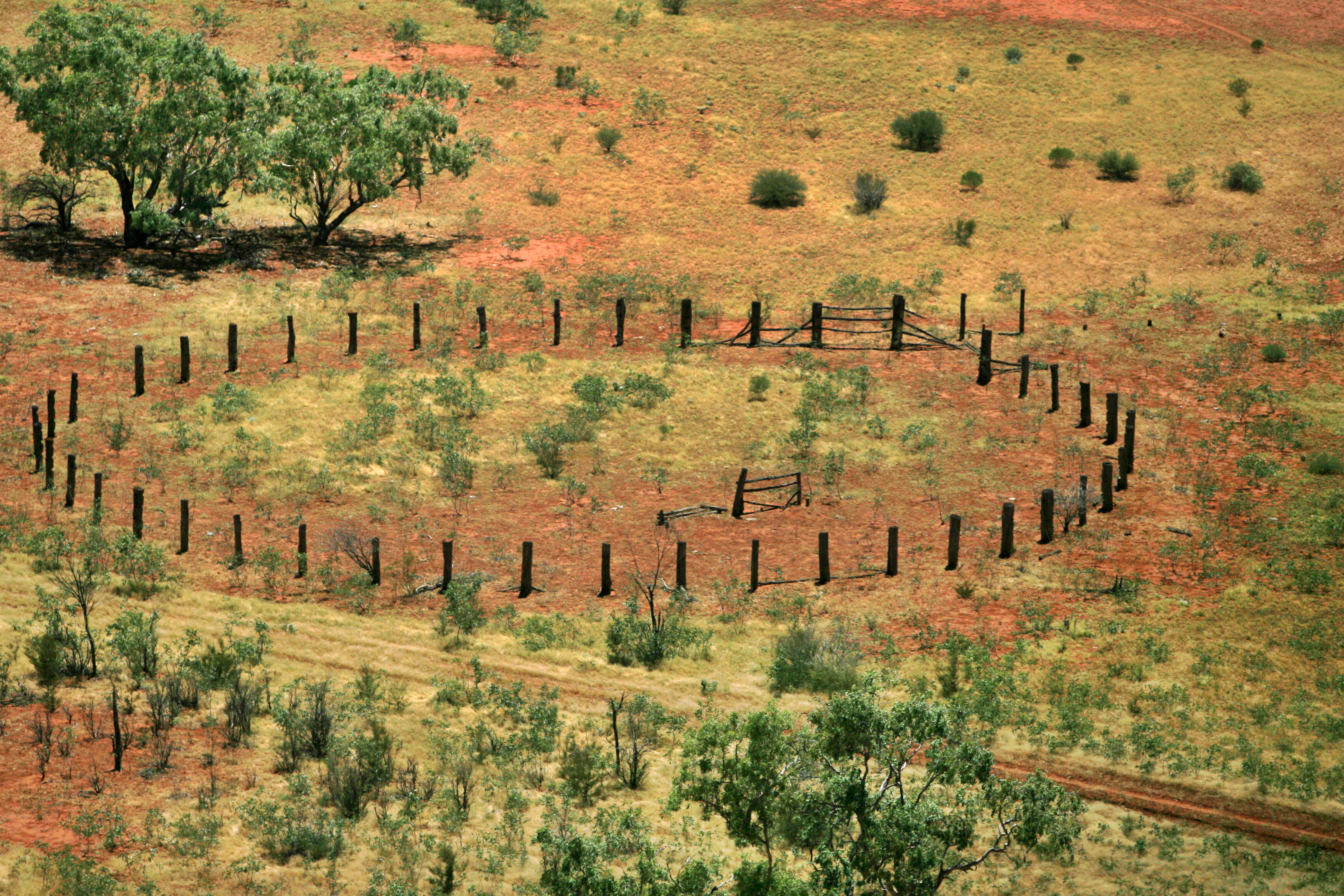 The great carbon offset scam