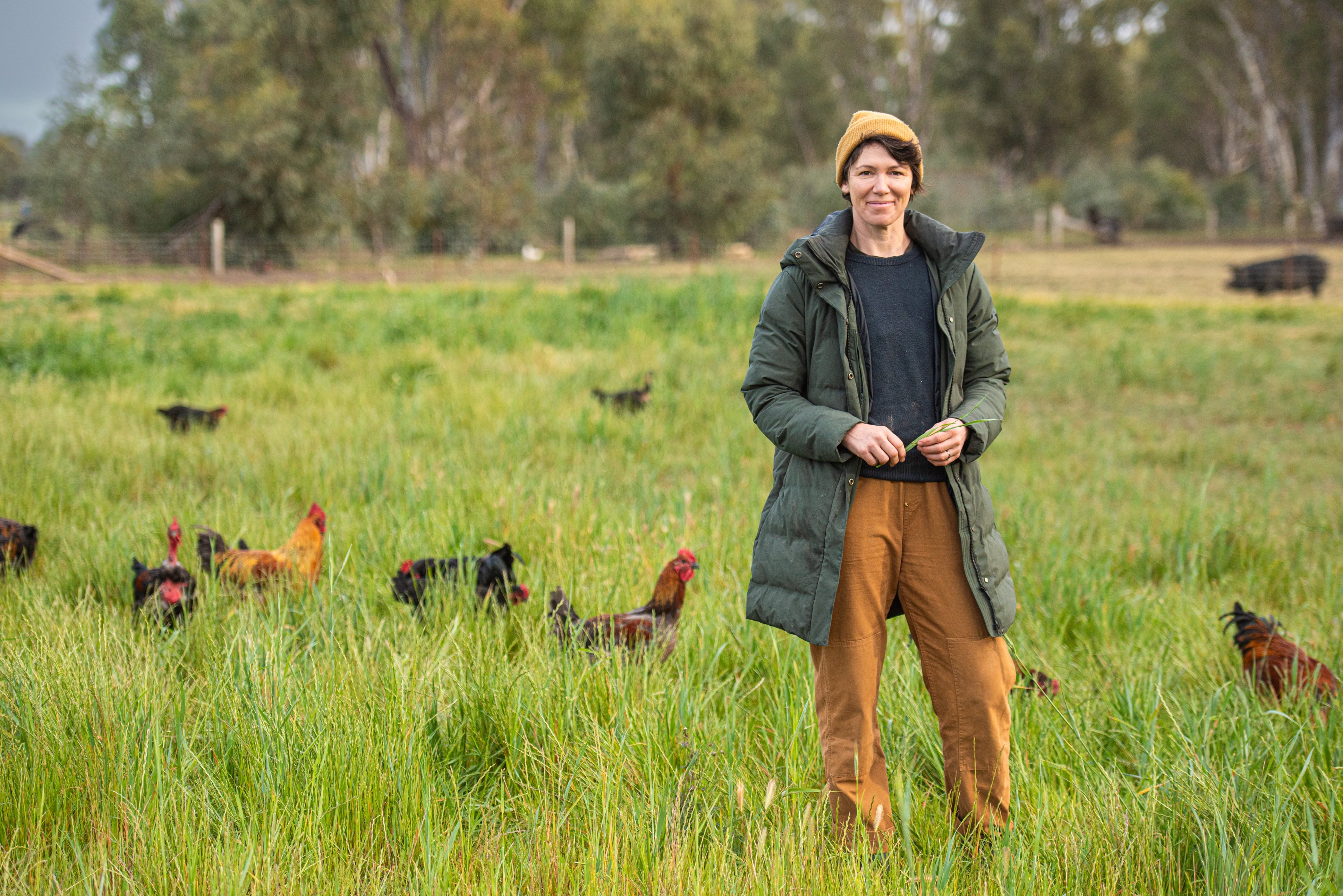 Meat processing threat for farmers