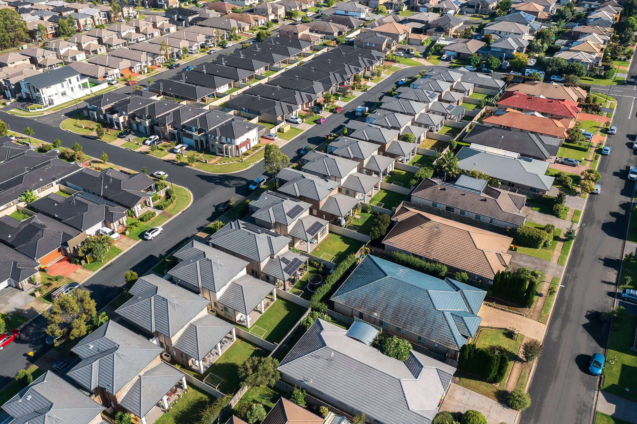Sydney suburbia.