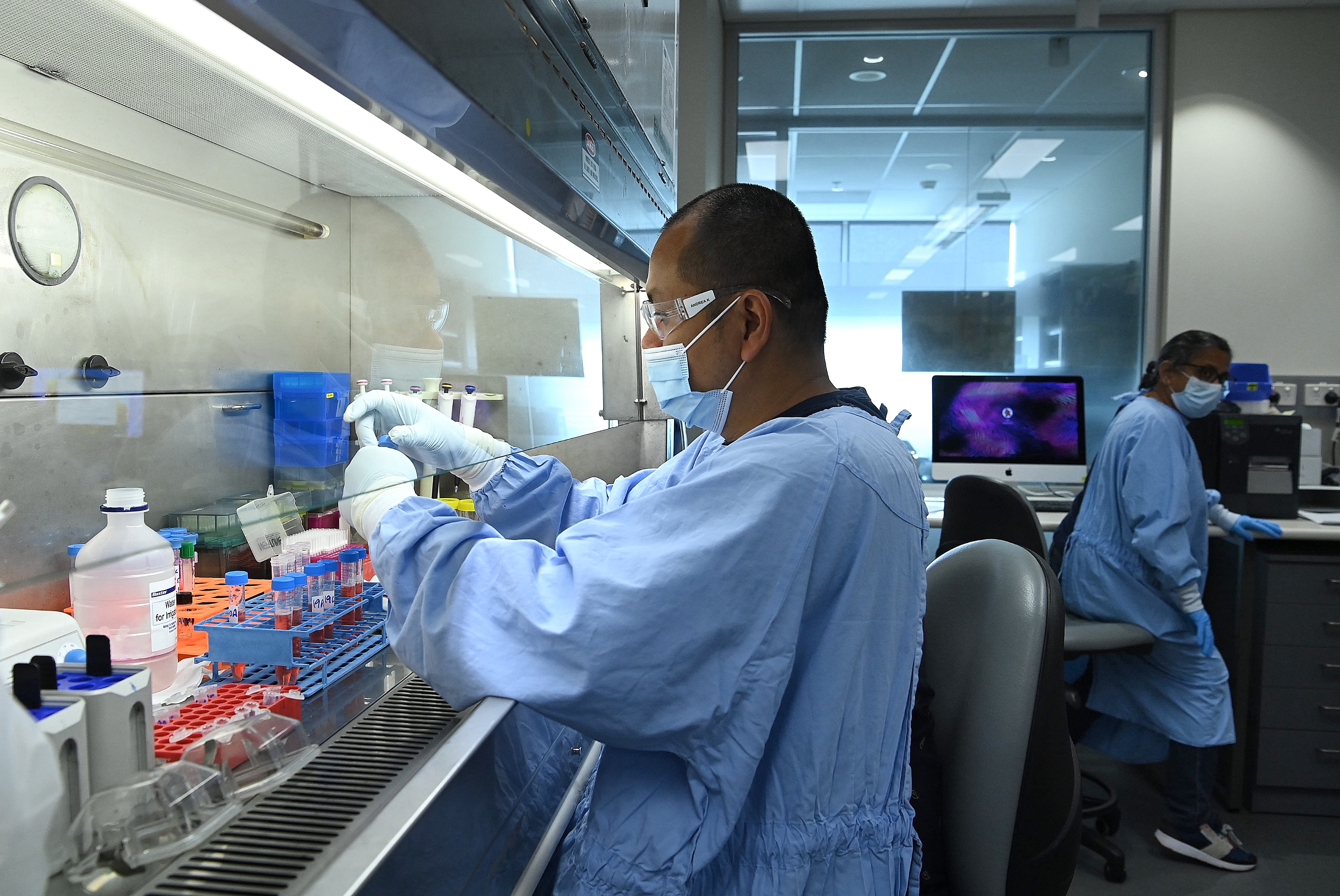 An immunologist at work in a lab.