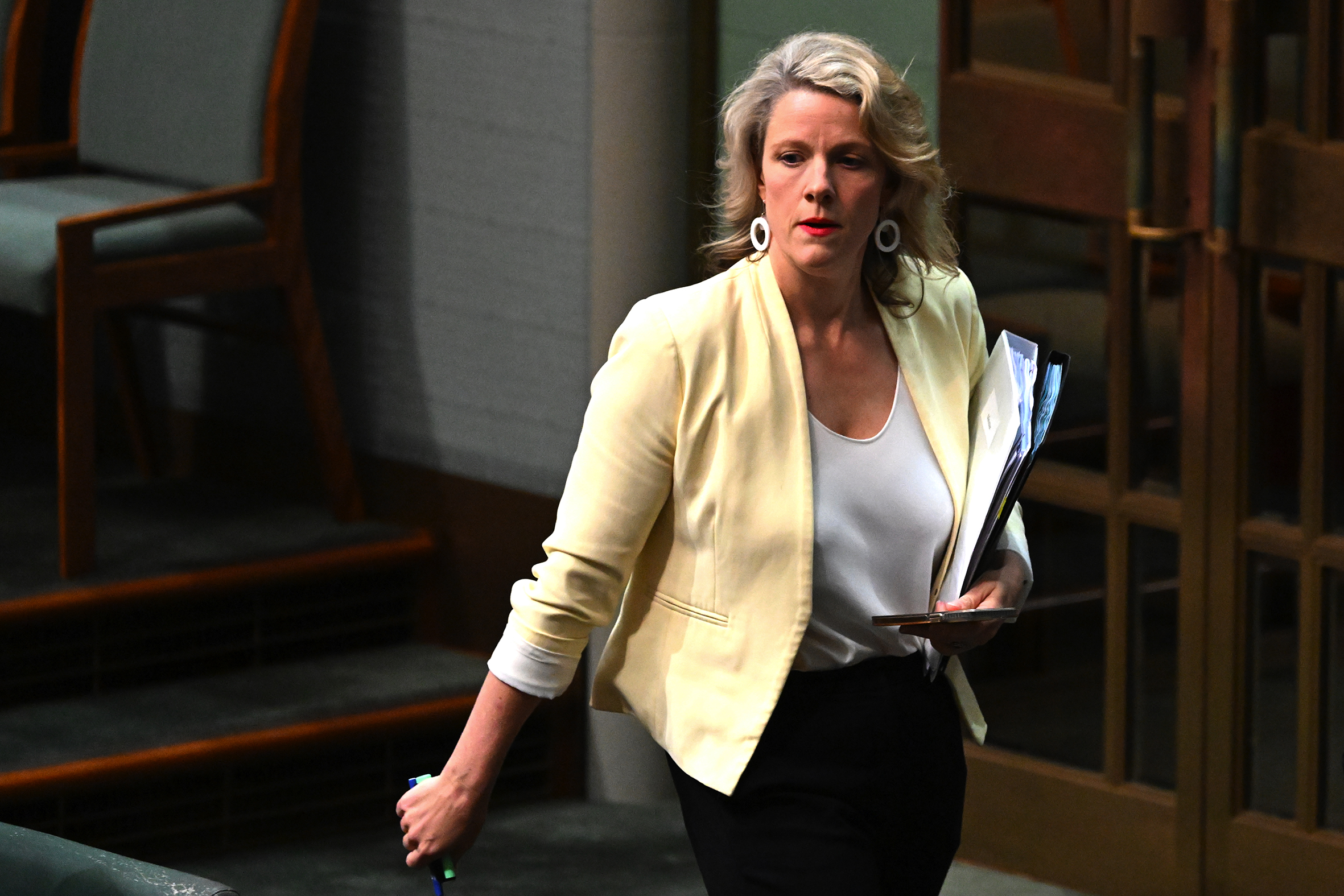 Rushed citizenship laws ask judges to define ‘Australian values’
