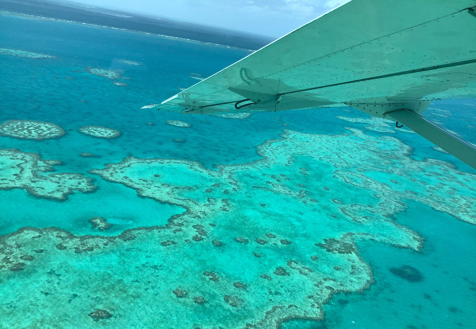 Barrier Reef: Ley stunned by 22 years of warnings 