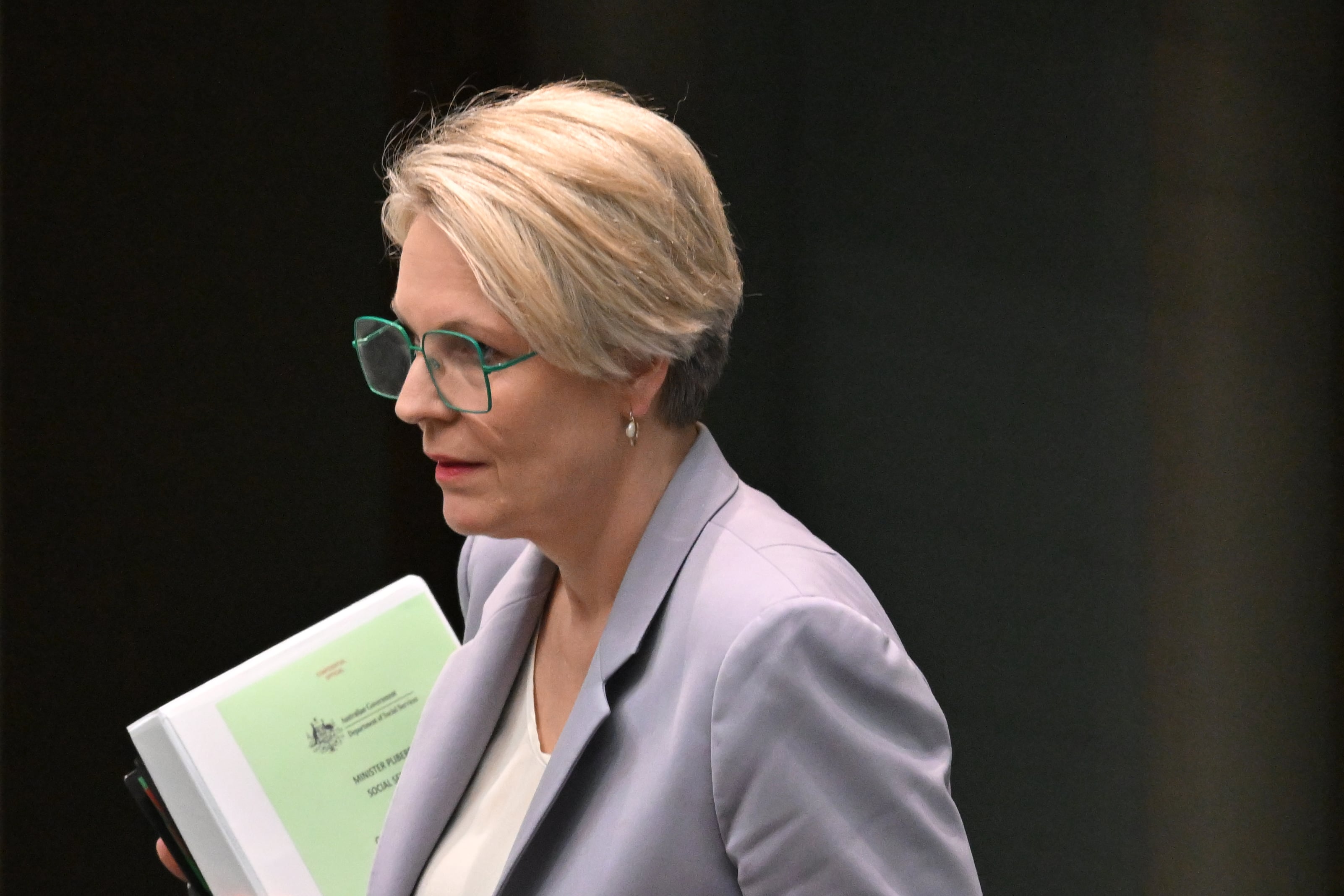 Minister for Social Services Tanya Plibersek.