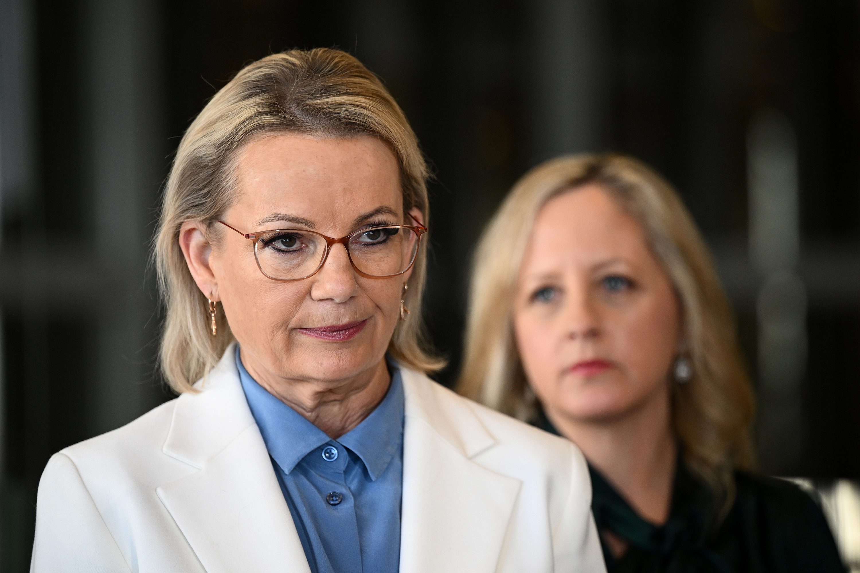 Liberal Party ‘finished’ without reform
