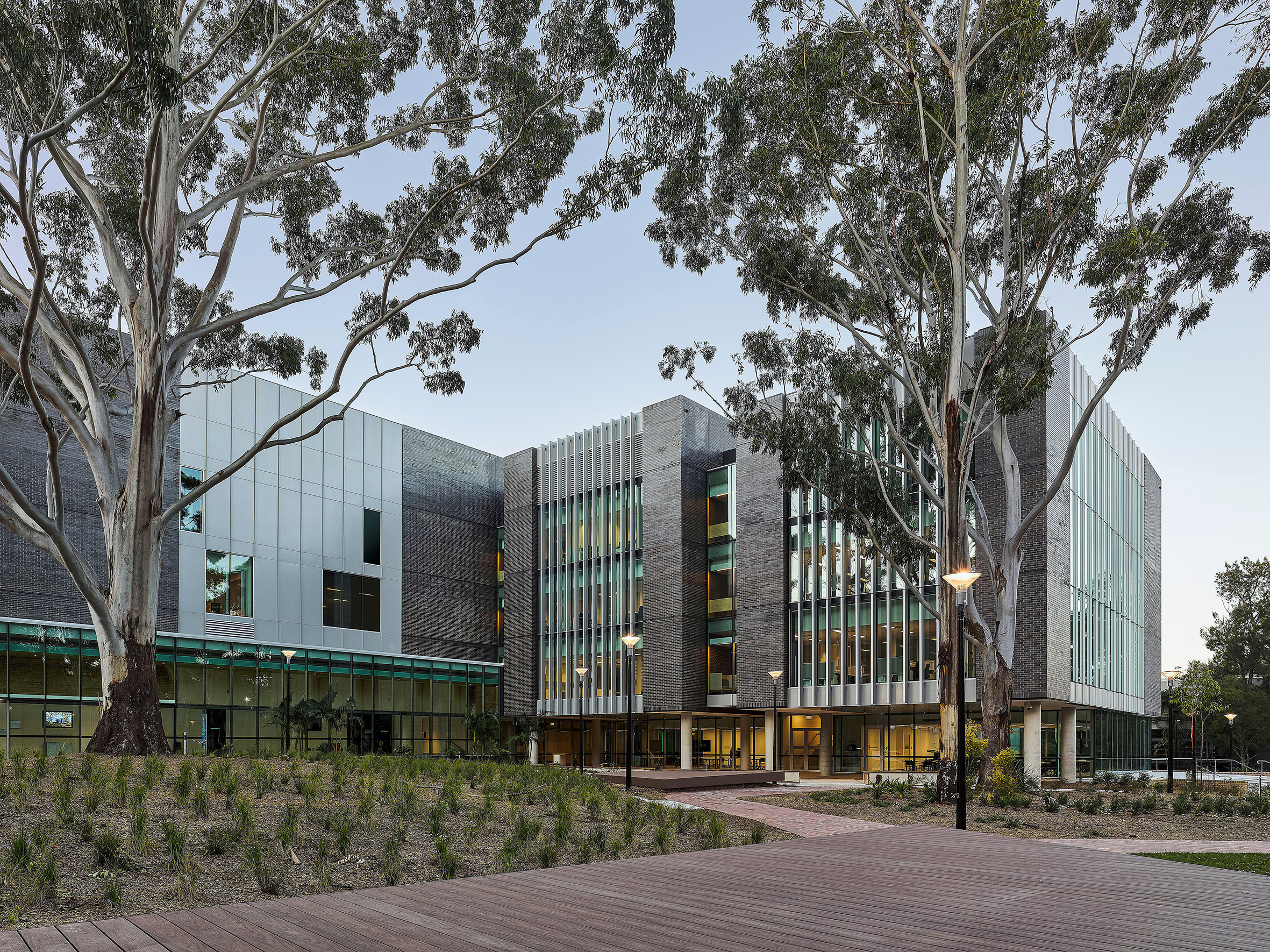 Wollongong University campus.