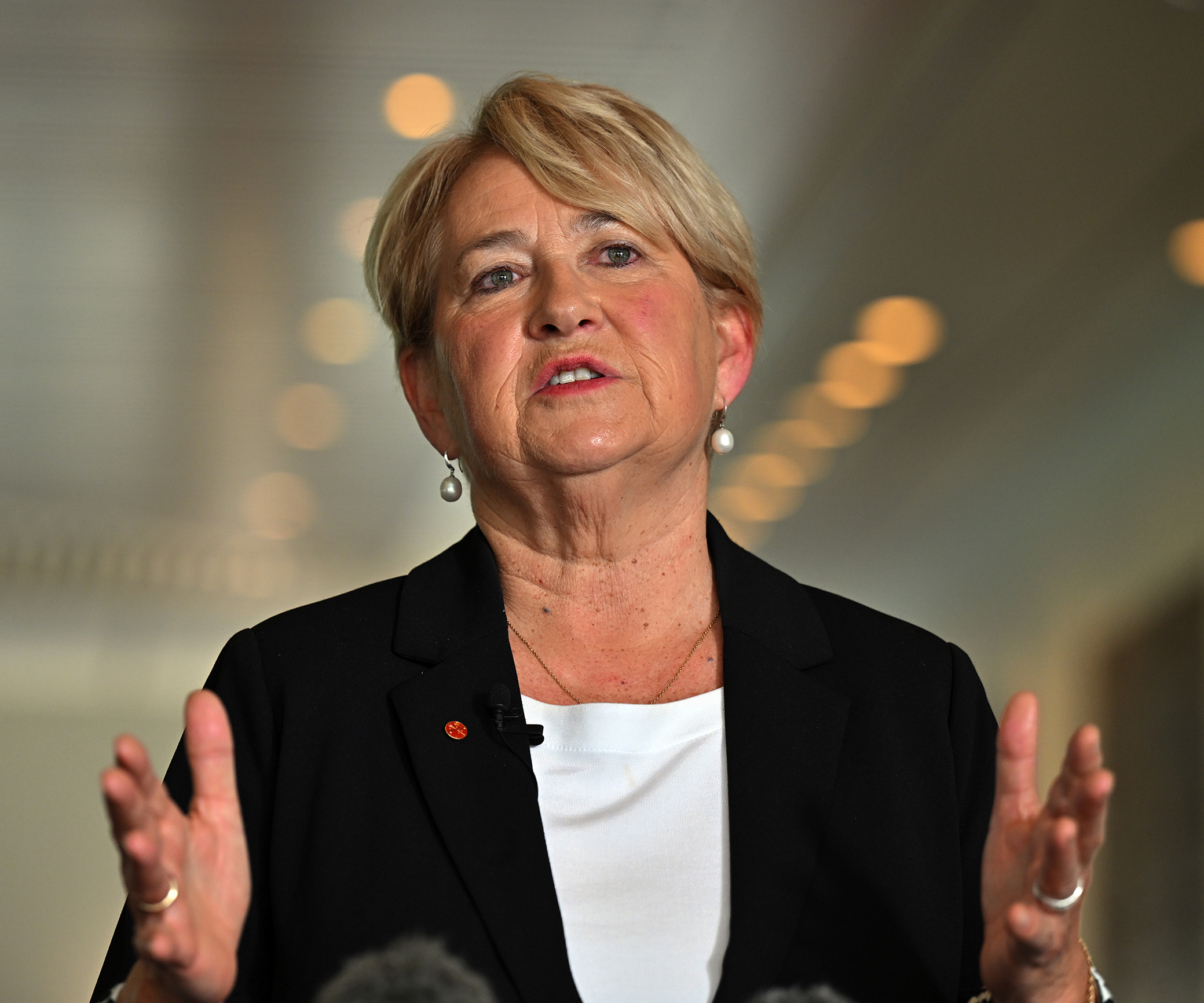 Deloitte breached undertaking on Home Affairs advice