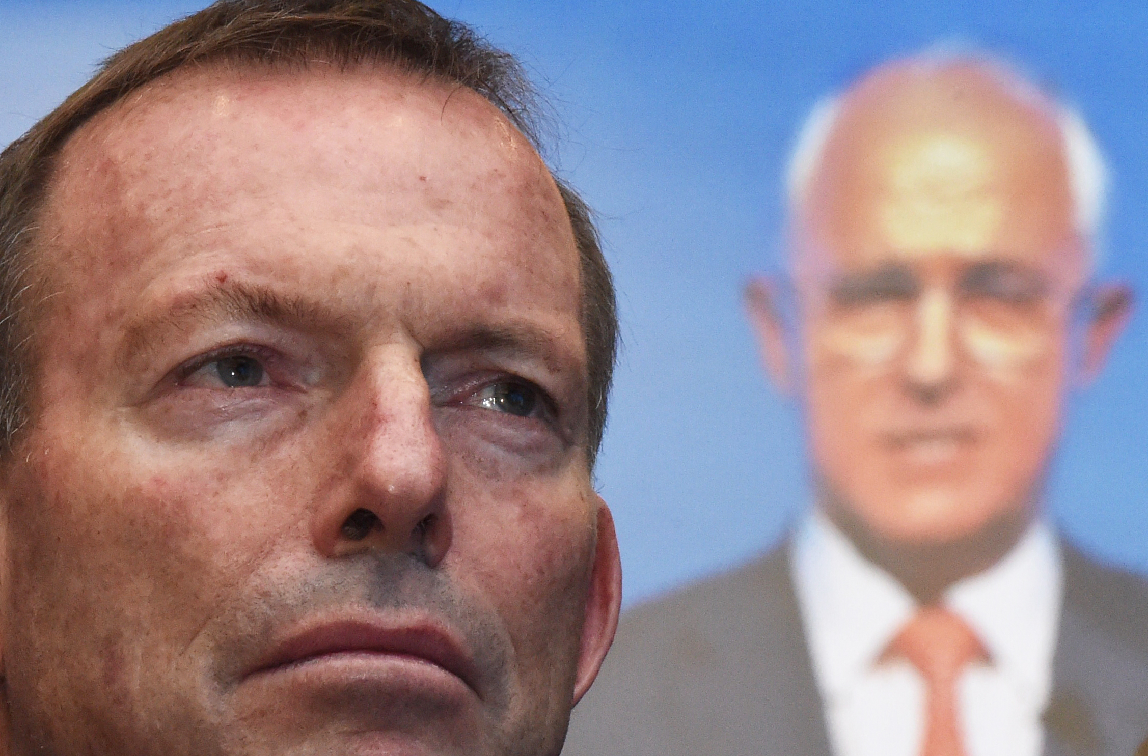 Plotting Tony Abbott's Year of the White-ant