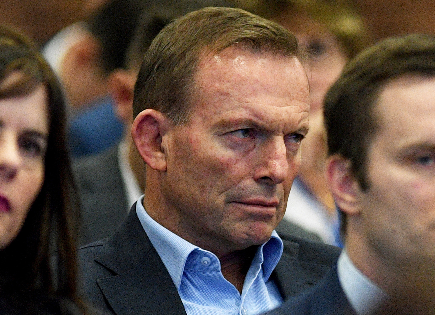 Notes from the Abbott insurgency