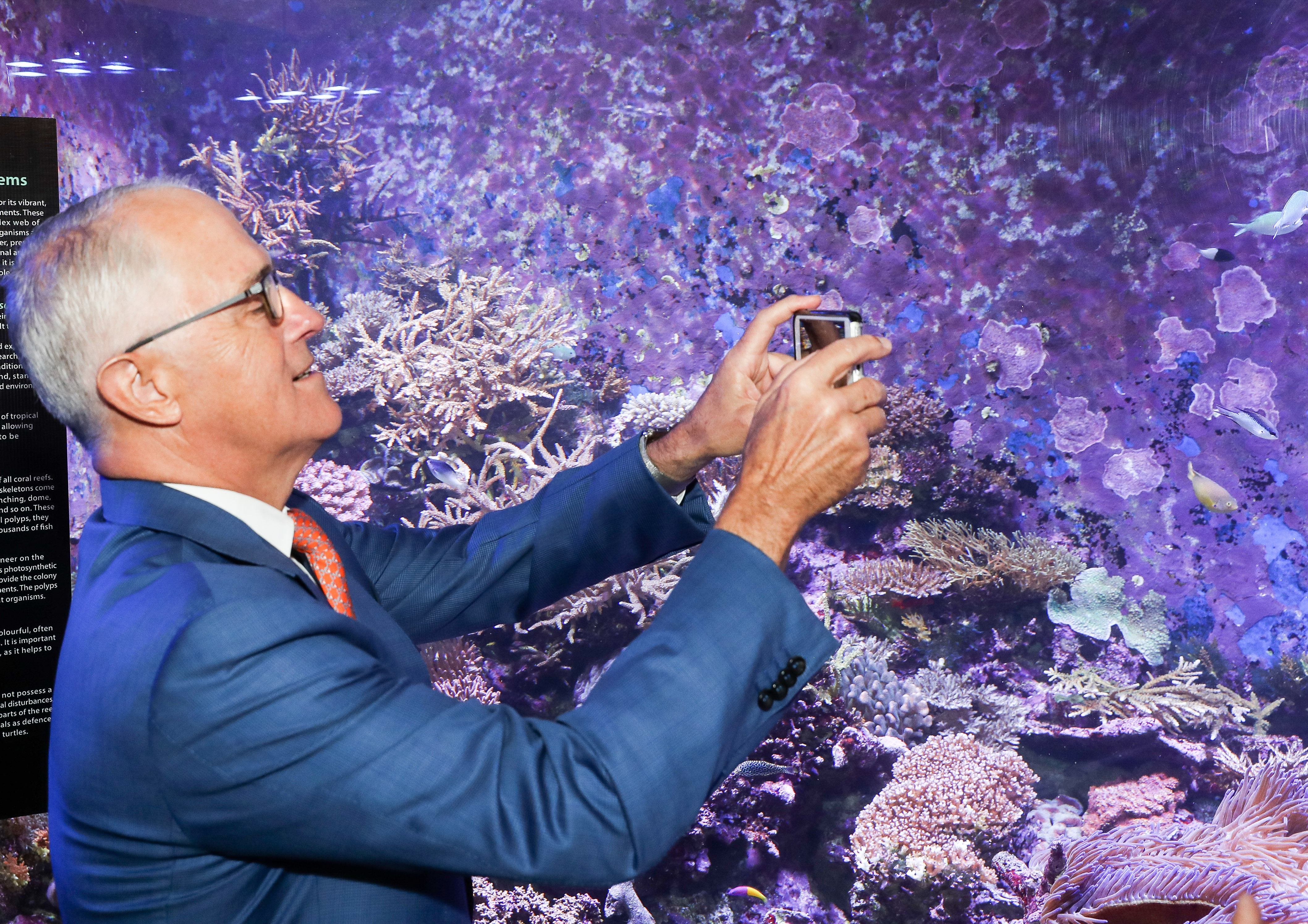 Who is the group awarded $443m to save the reef?