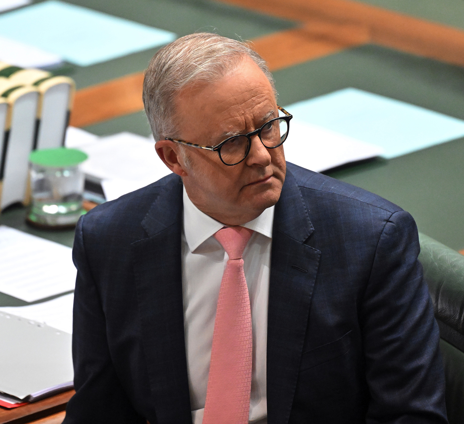 Inside Albanese’s firming position on Gaza and Palestinian statehood
