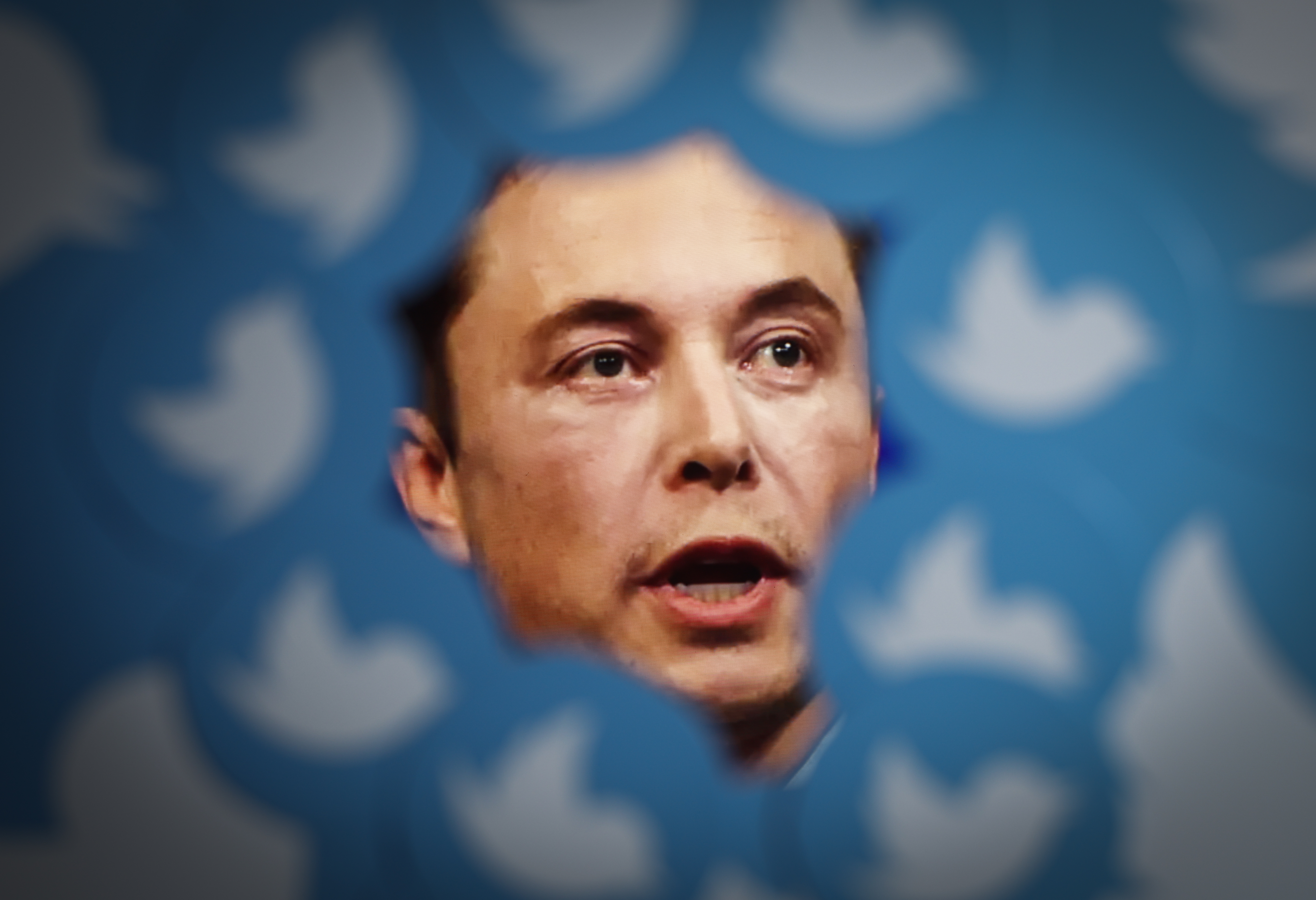 Elon Musk and the fate of Twitter