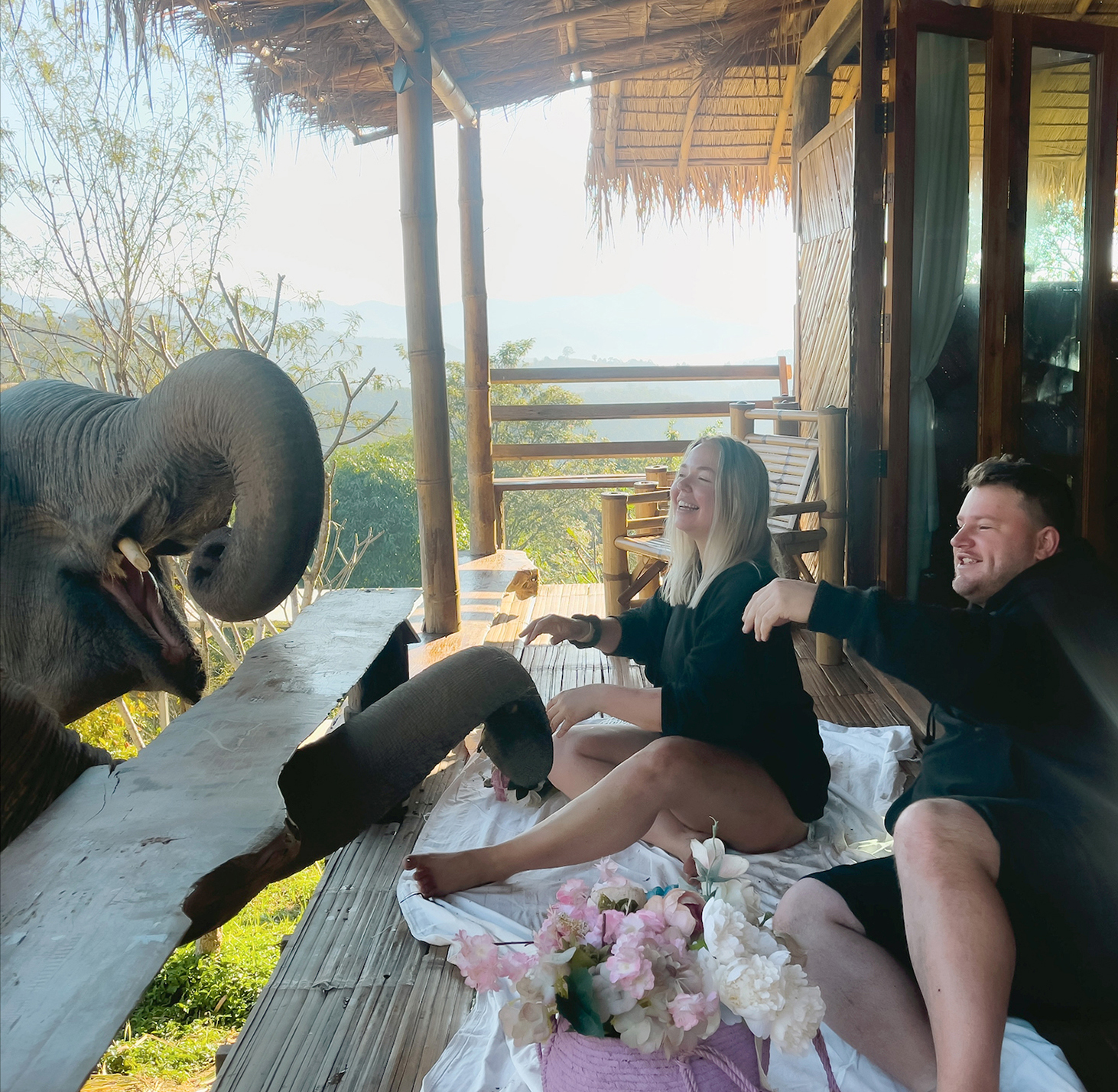 Two people sit on a verandah, their arms reached towards an elephant that is facing them, its mouth wide.