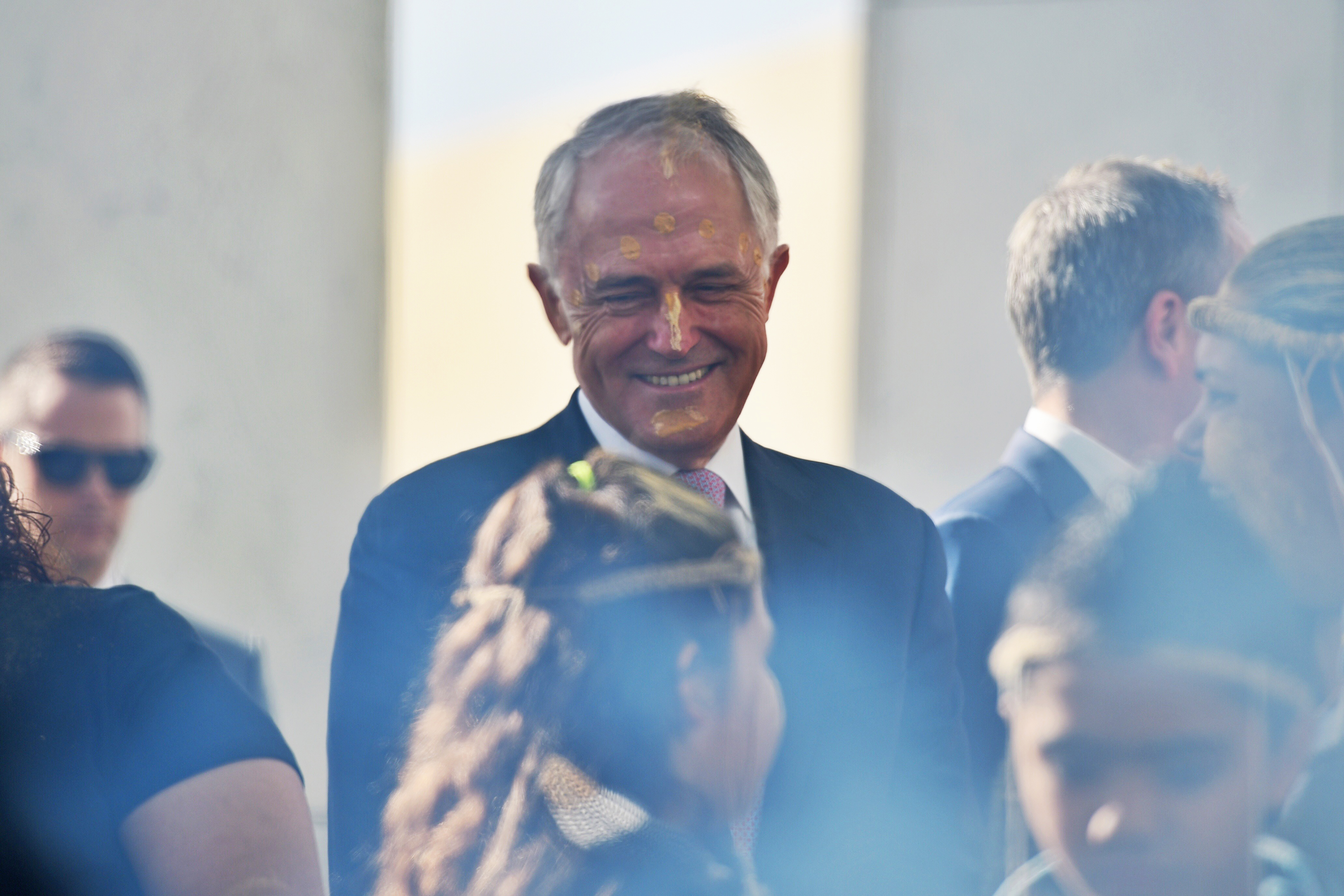 Schisms challenging party platforms