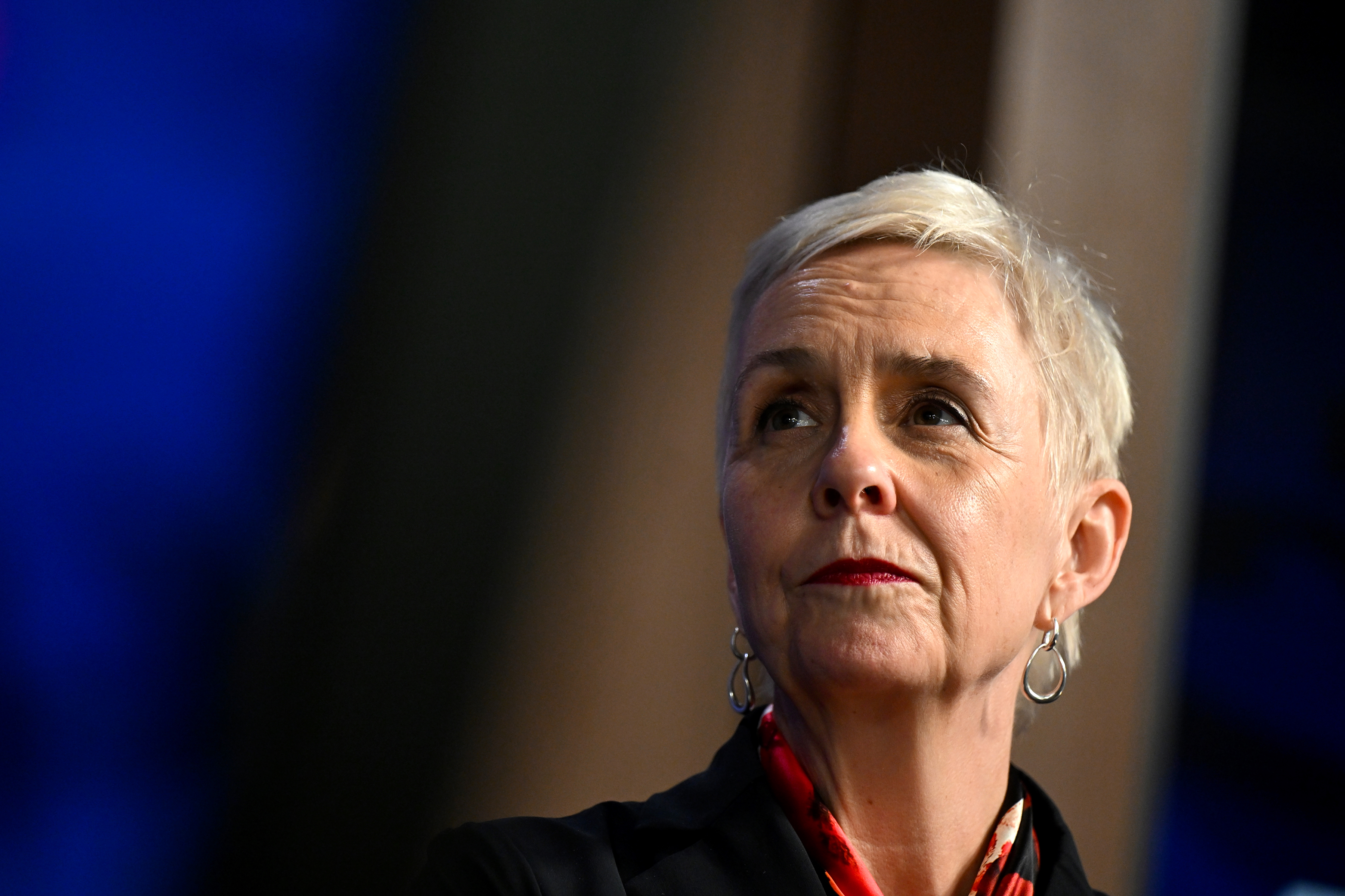 Frustration over national domestic violence plan
