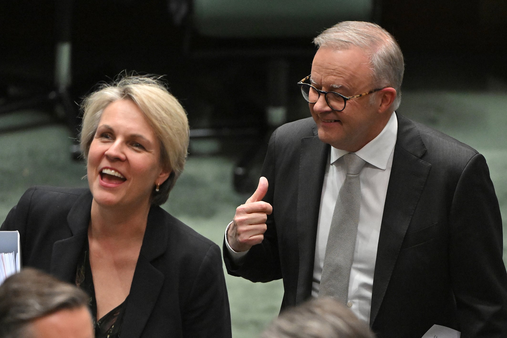 Anthony Albanese and Tanya Plibersek