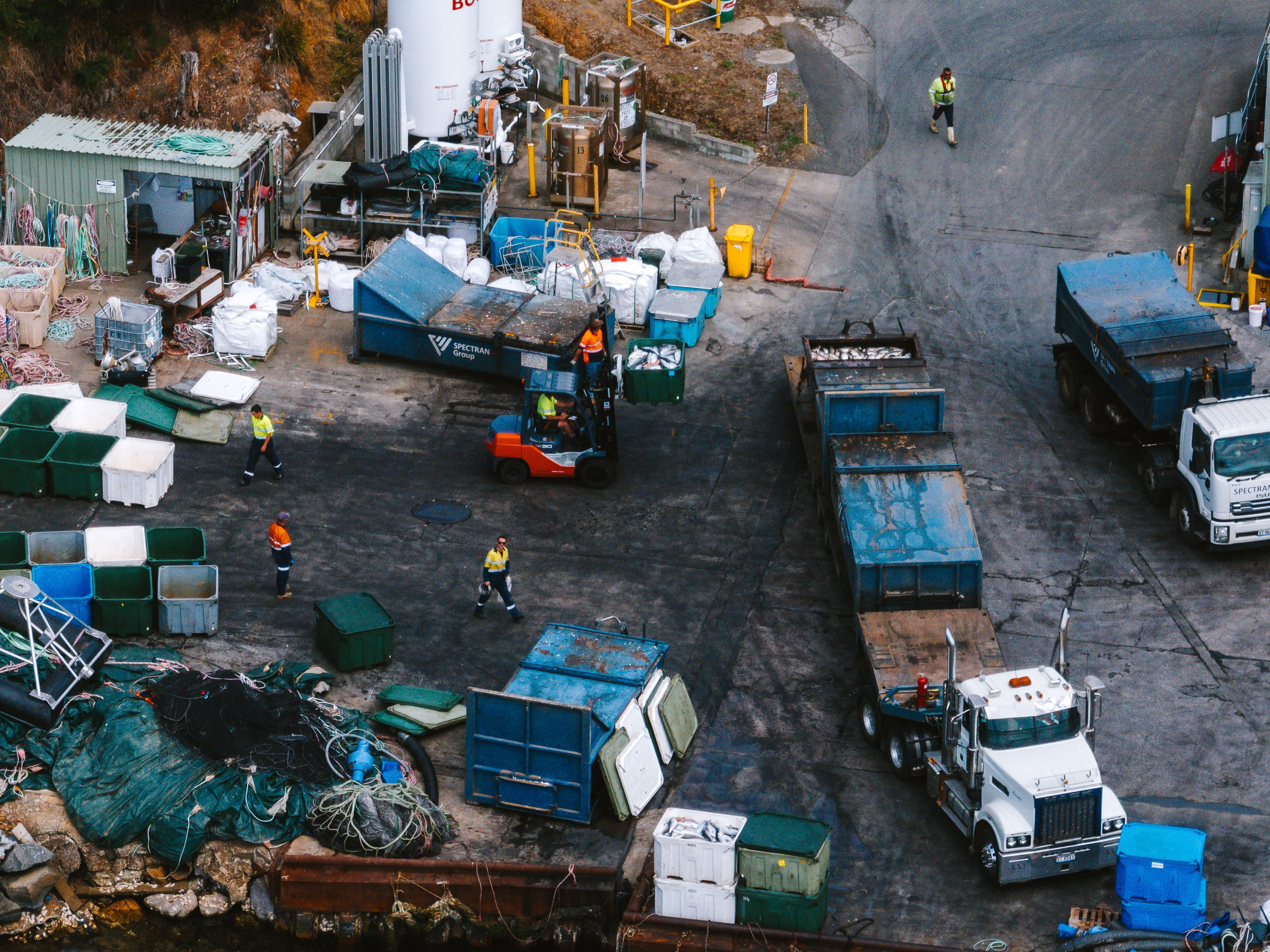Biosecurity warnings ignored by the Tasmanian salmon industry
