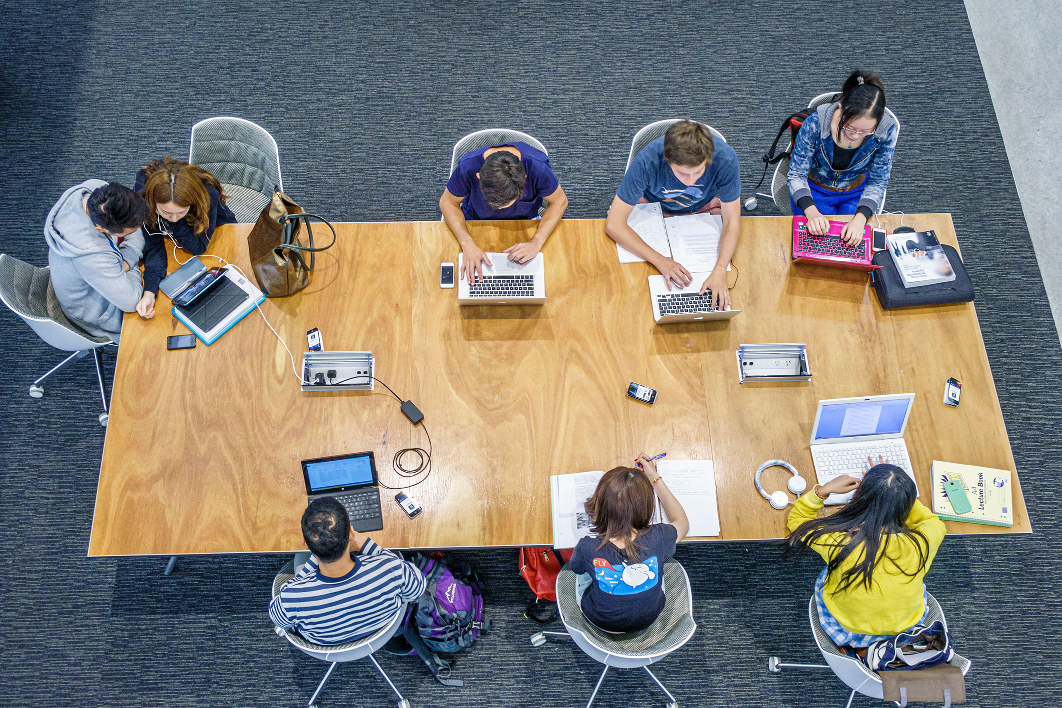 The government’s student visa rort