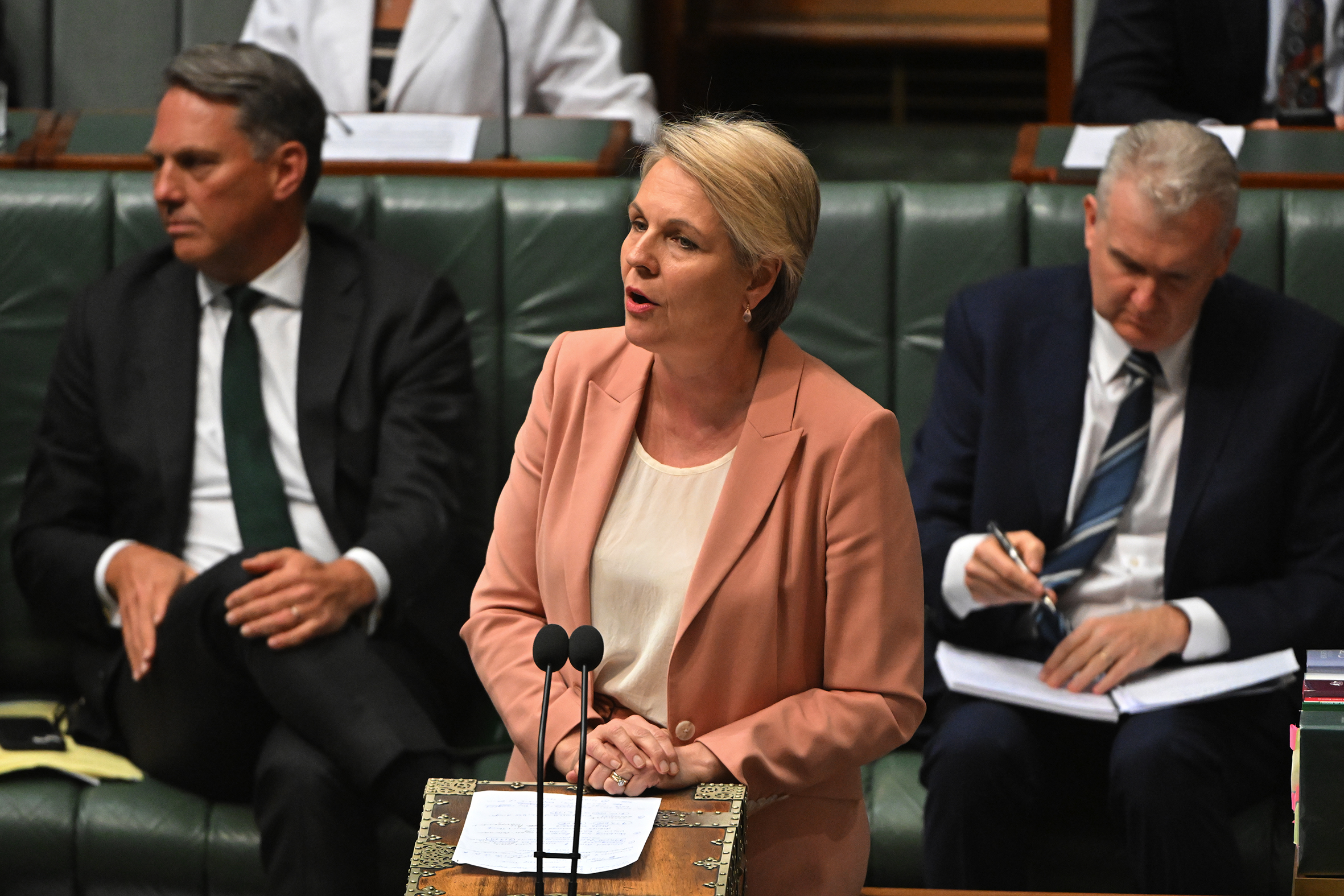 Exclusive: Plibersek intervenes after BoM executives lie to court