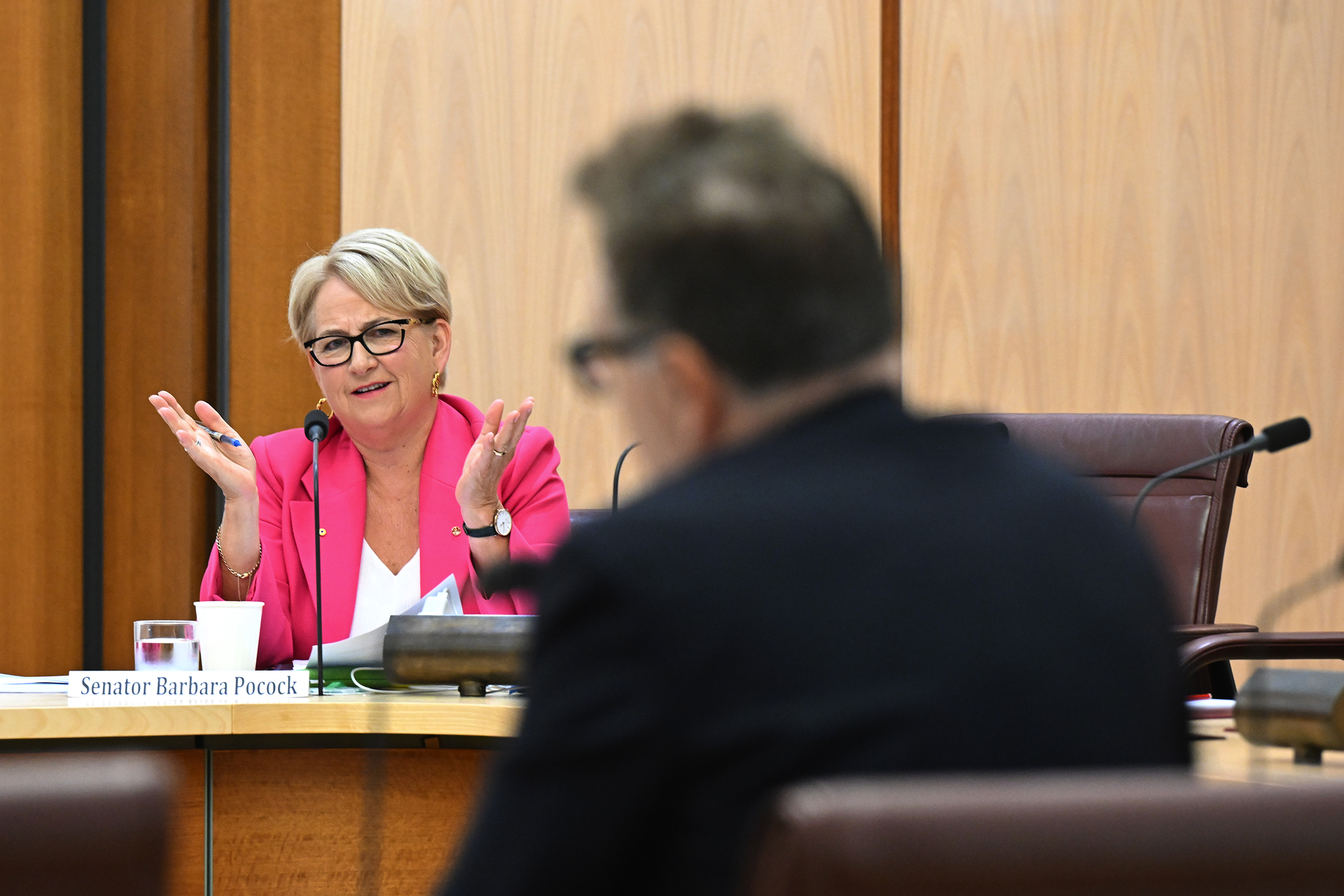 Greens Senator Barbara Pocock reacts to PwC Australia chief executive Kevin Burrowes during a public hearing into consulting services. 