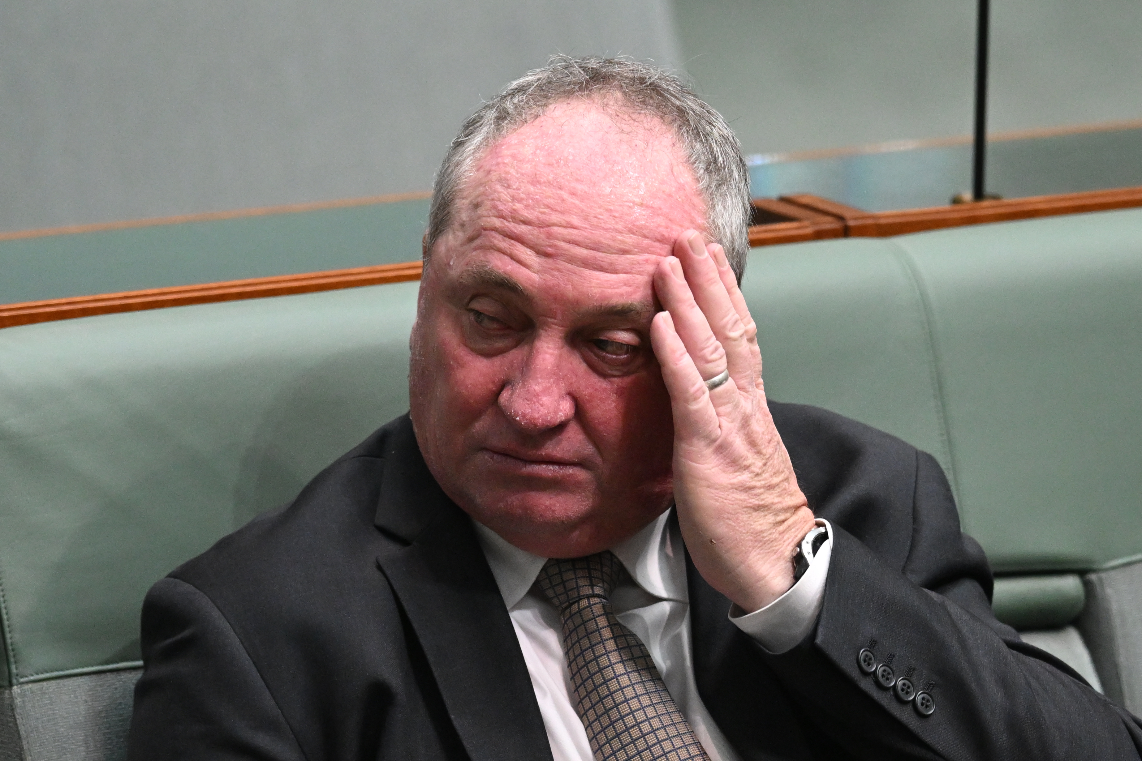 Labor ‘playing politics’ with Joyce’s net zero bill