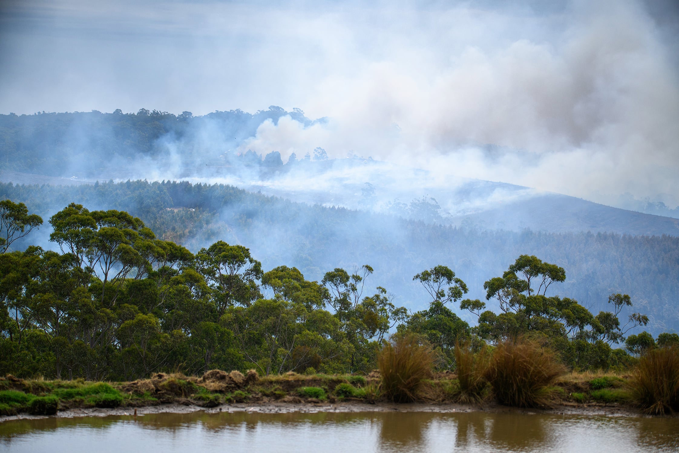 Fire burns across the hills of Gellibrand, in the Otway Ranges, Victoria.