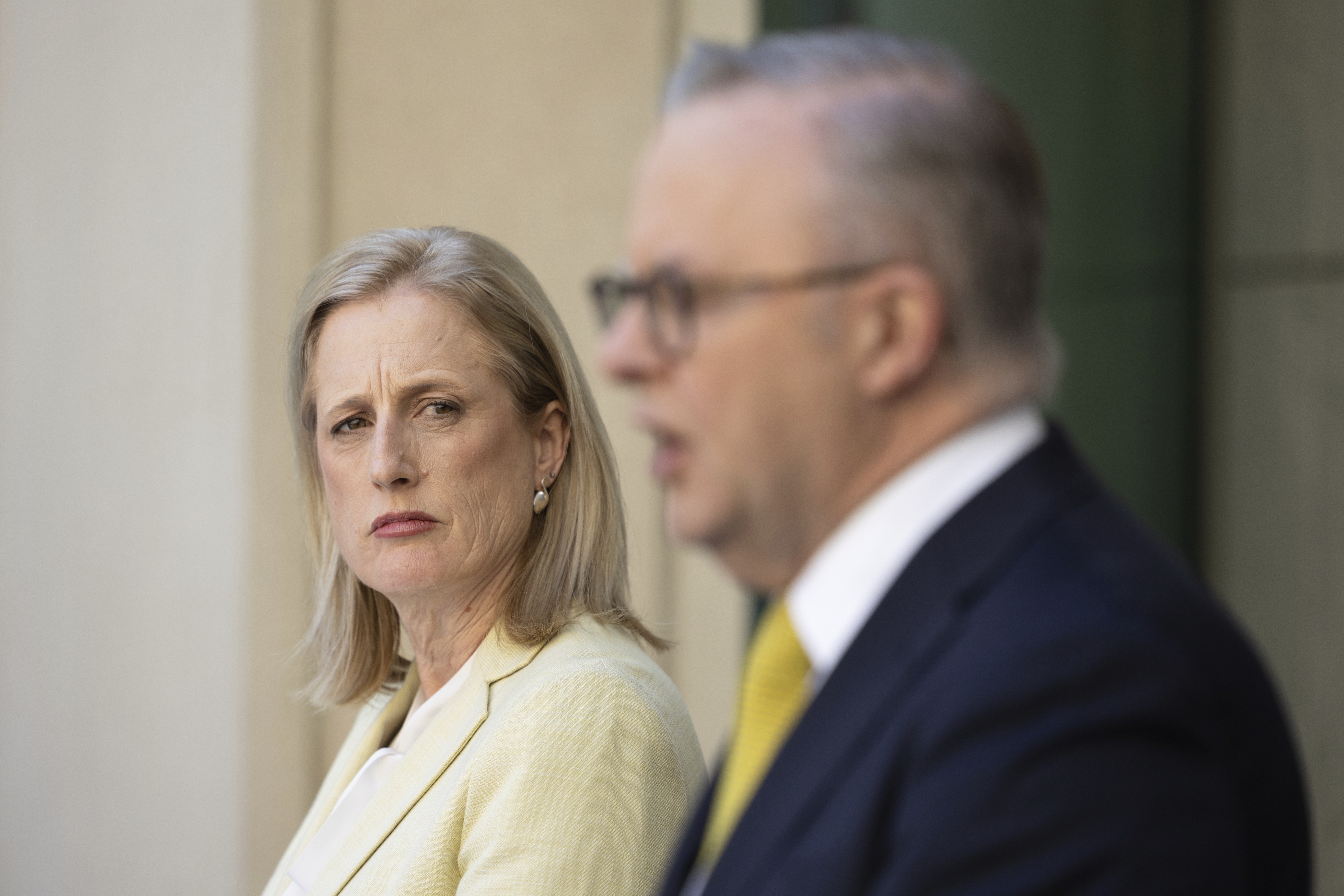 Labor confronts Rinehart-led push to cut public service