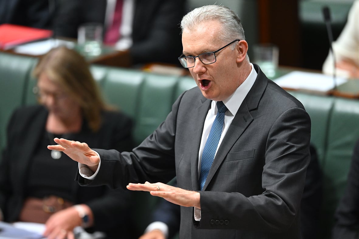 Tony Burke and the expansion of Home Affairs’ power
