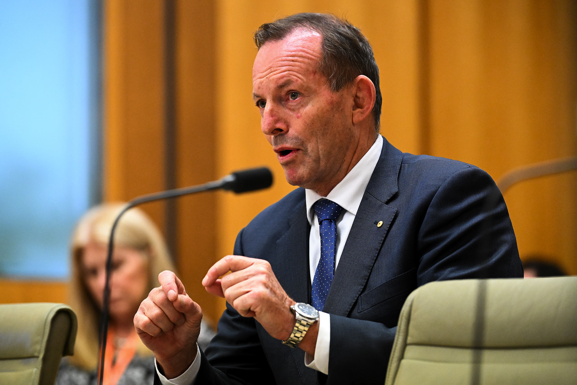 Former Prime Minister Tony Abbott dressed in a suit and speaking into a microphone.