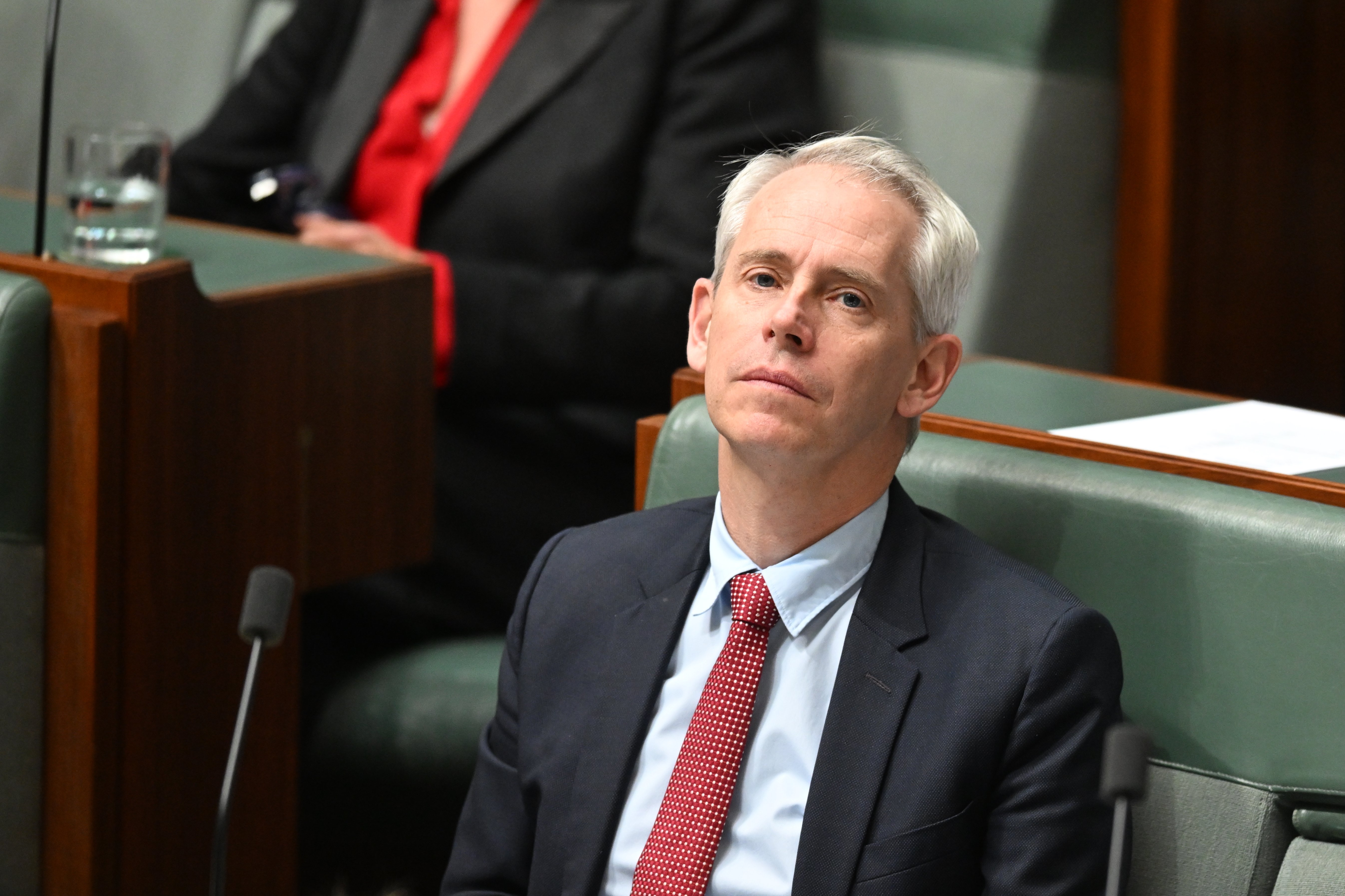 Former immigration minister Andrew Giles. 