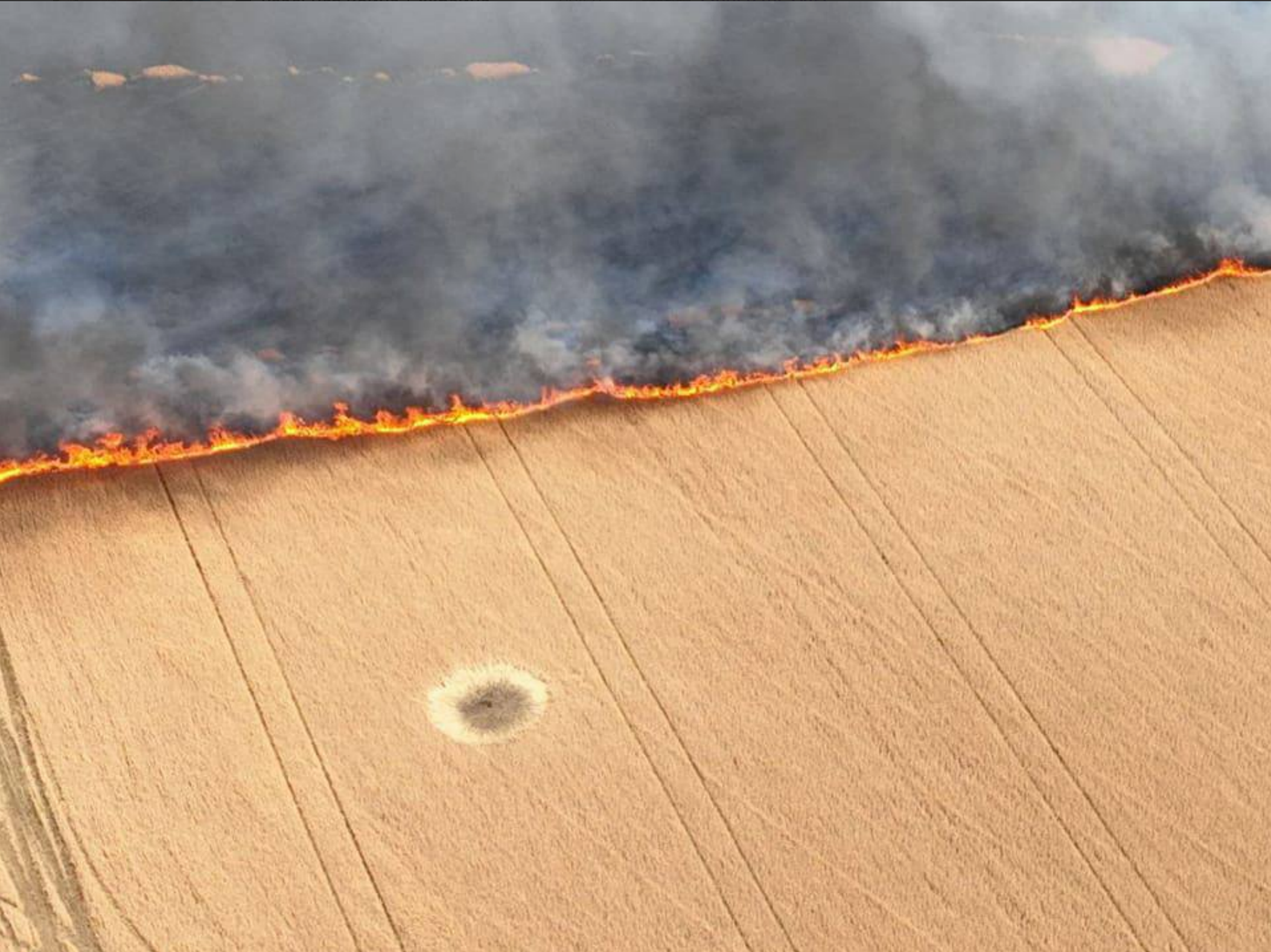 Australia is not prepared for a climate-related food crisis