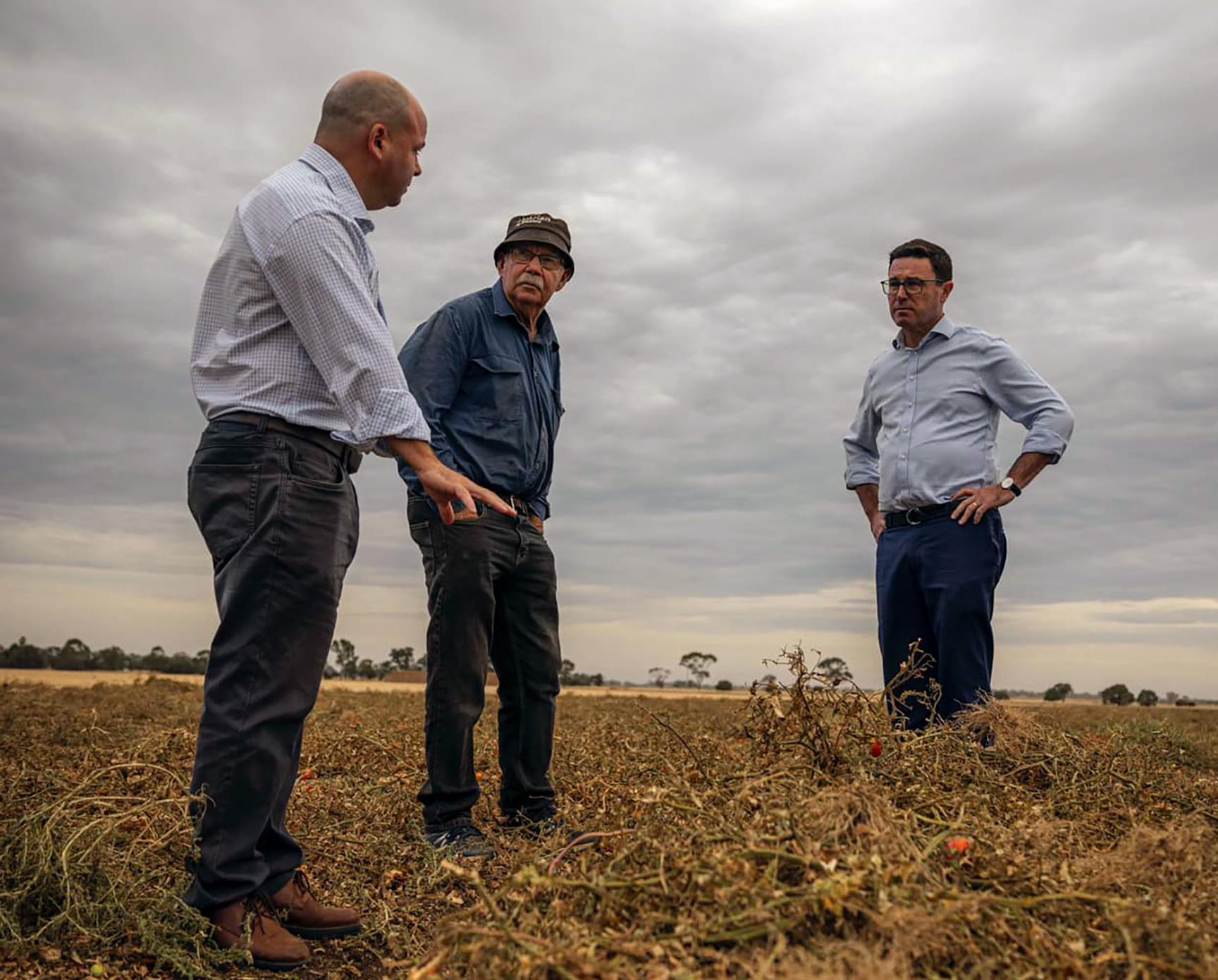 Three men stand in a paddock.
