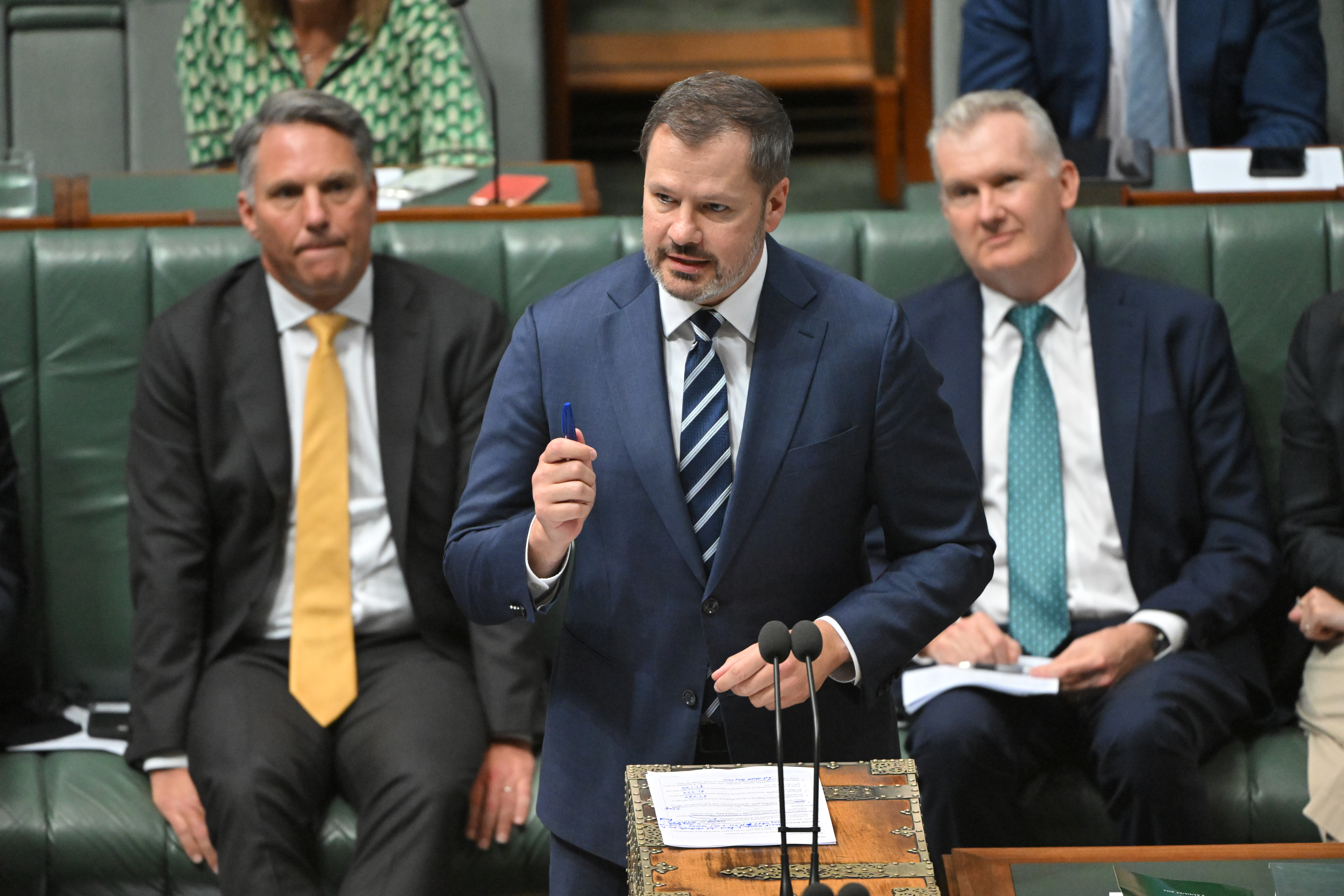 Minister for Industry Ed Husic in parliament.