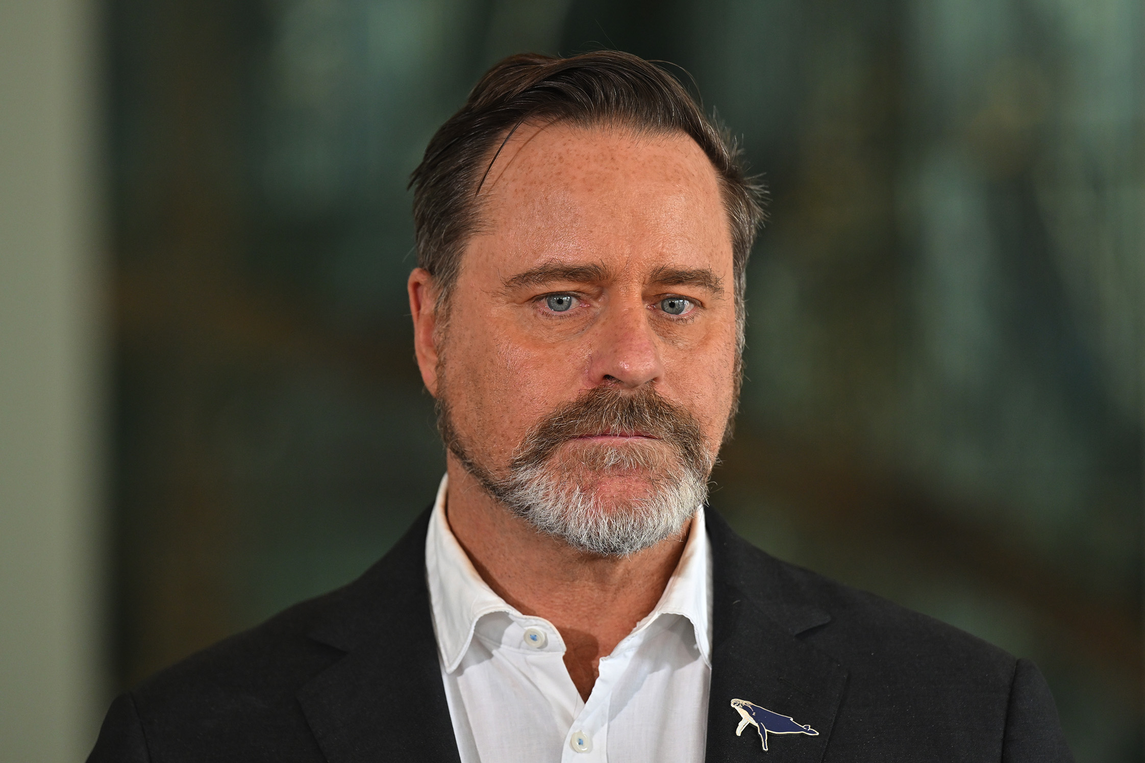 Greens senator Peter Whish-Wilson.