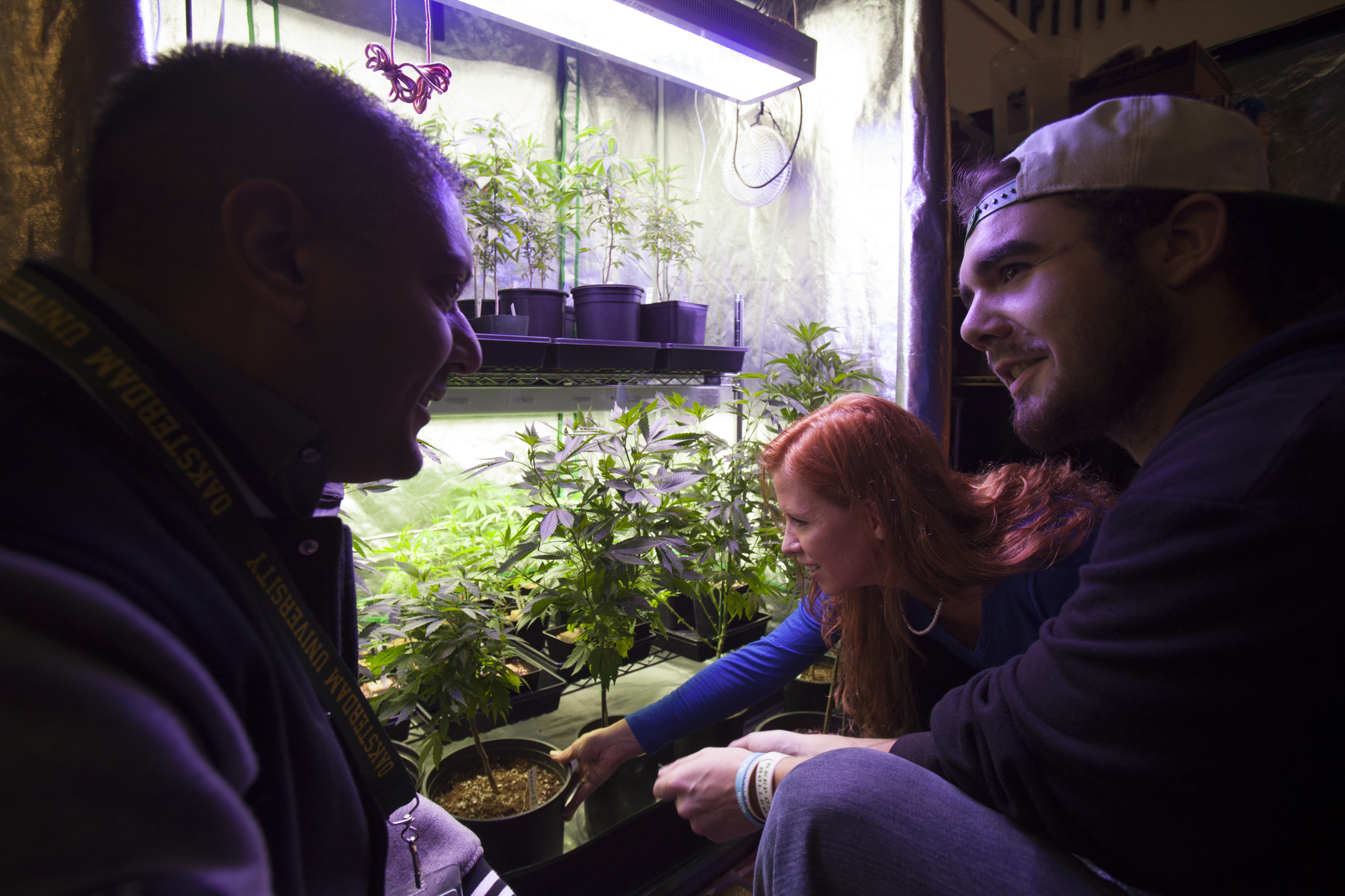 The case for legalised cannabis